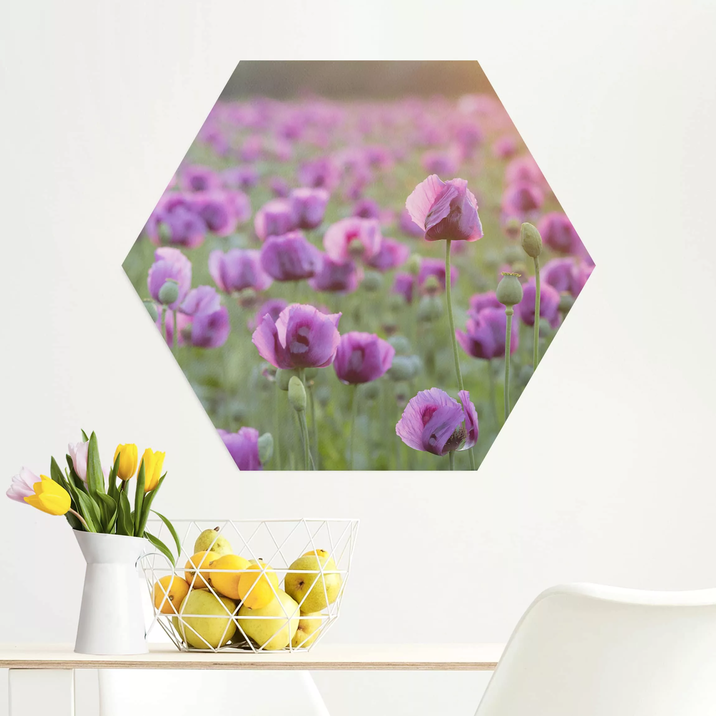 Hexagon-Alu-Dibond Bild Blumen Violette Schlafmohn Blumenwiese im Frühling günstig online kaufen