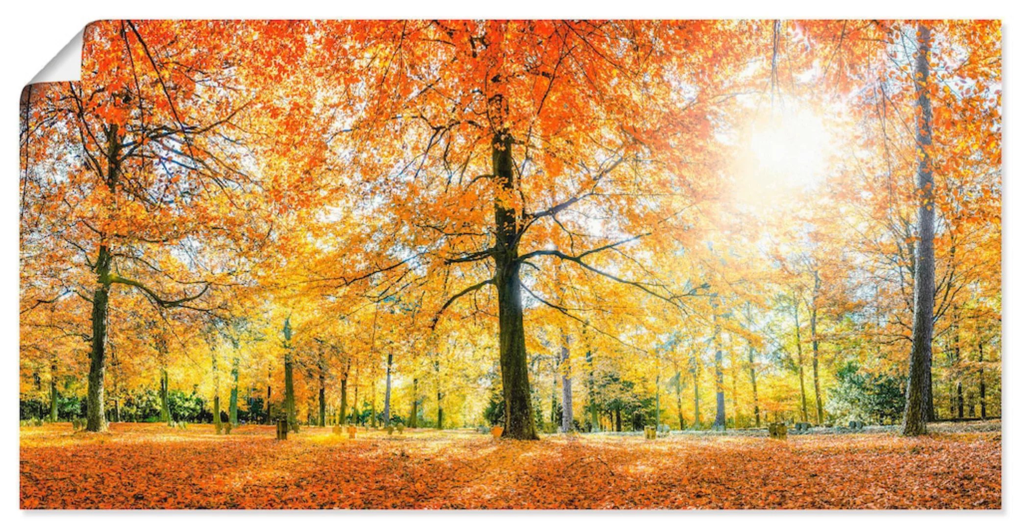 Artland Poster "Herbstwald Panorama", Wald, (1 St.), als Alubild, Leinwandb günstig online kaufen