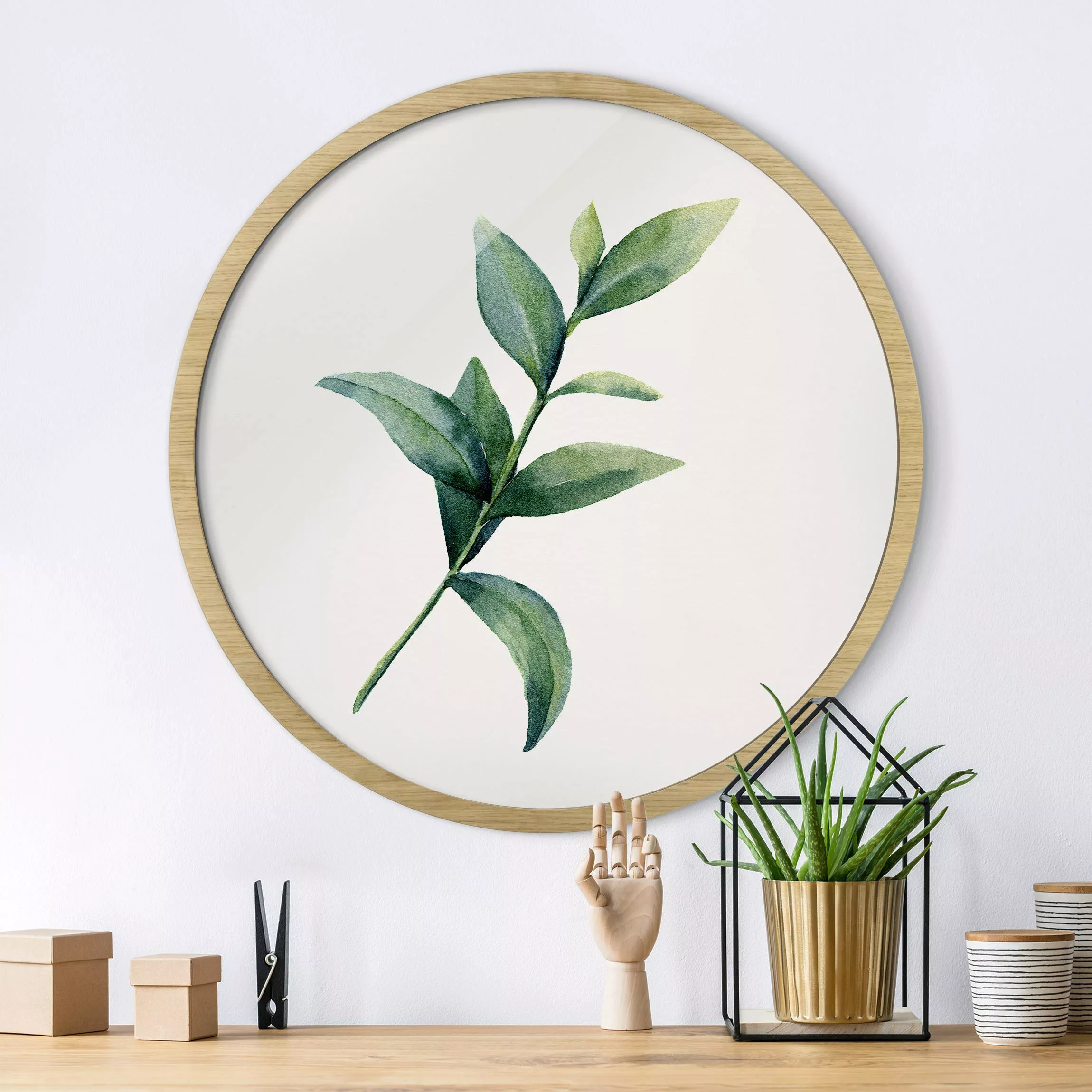 Rundes Gerahmtes Bild Aquarell Eucalyptus II günstig online kaufen