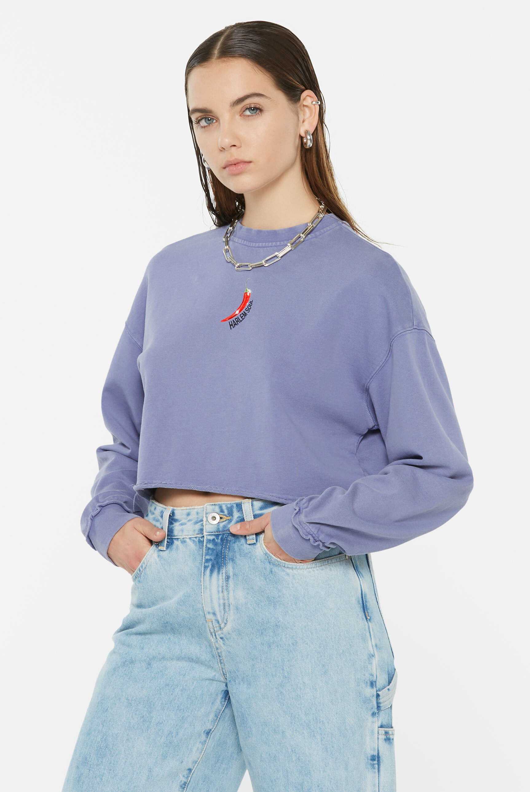Harlem Soul Sweater, mit Used-Kante am Ärmel günstig online kaufen