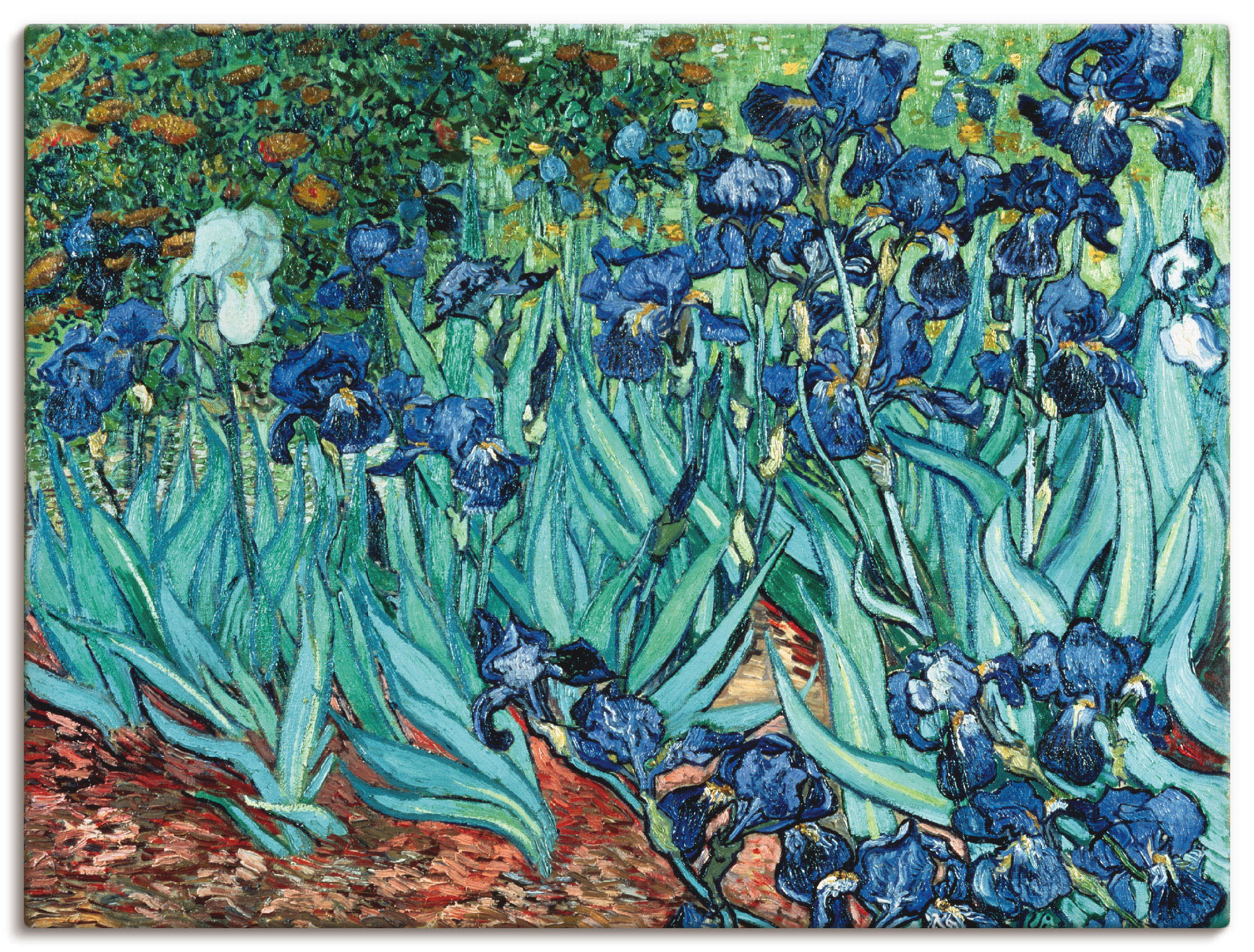 Artland Leinwandbild "Iris (Schwertlilien). 1889", Blumen, (1 St.), auf Kei günstig online kaufen