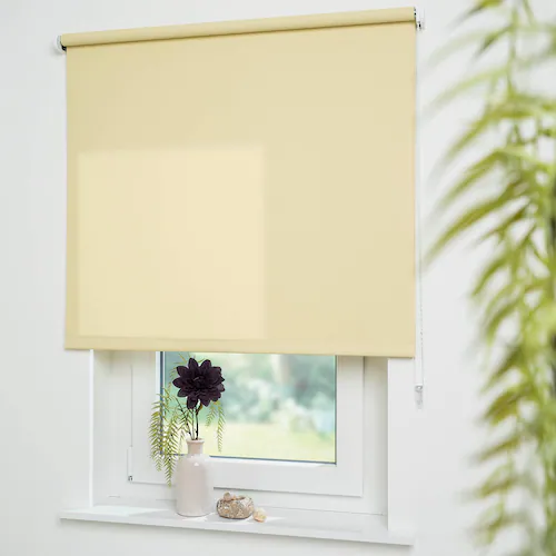 Liedeco Seitenzugrollo »Uni«, Lichtschutz, mit Bohren, freihängend, Welle 3 günstig online kaufen