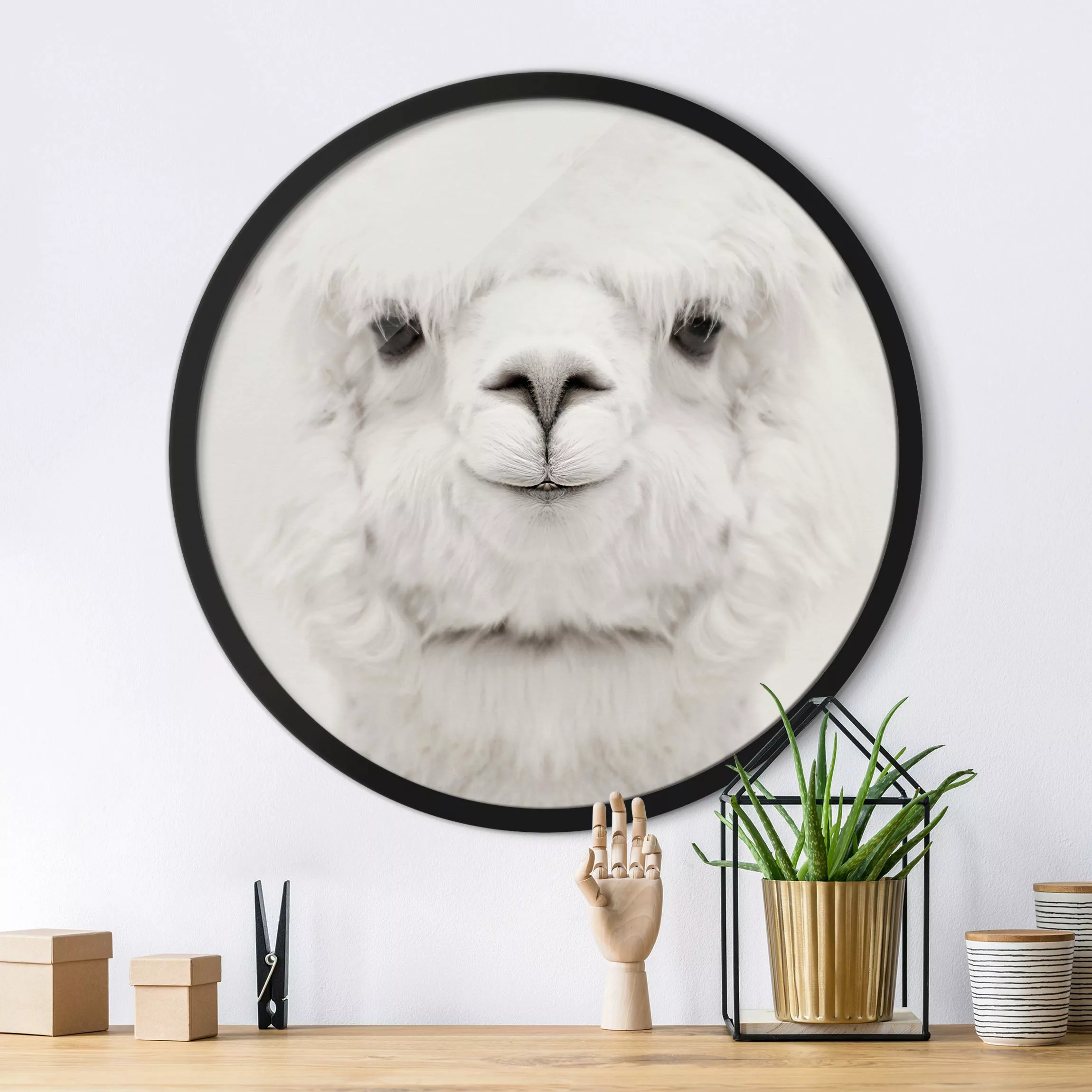Rundes Gerahmtes Bild Lächelndes Alpaka günstig online kaufen