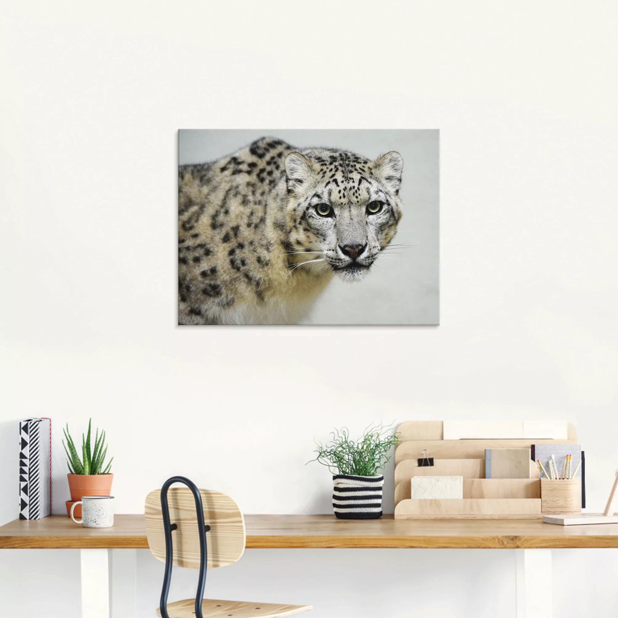 Artland Glasbild "Schneeleopard", Wildtiere, (1 St.), in verschiedenen Größ günstig online kaufen