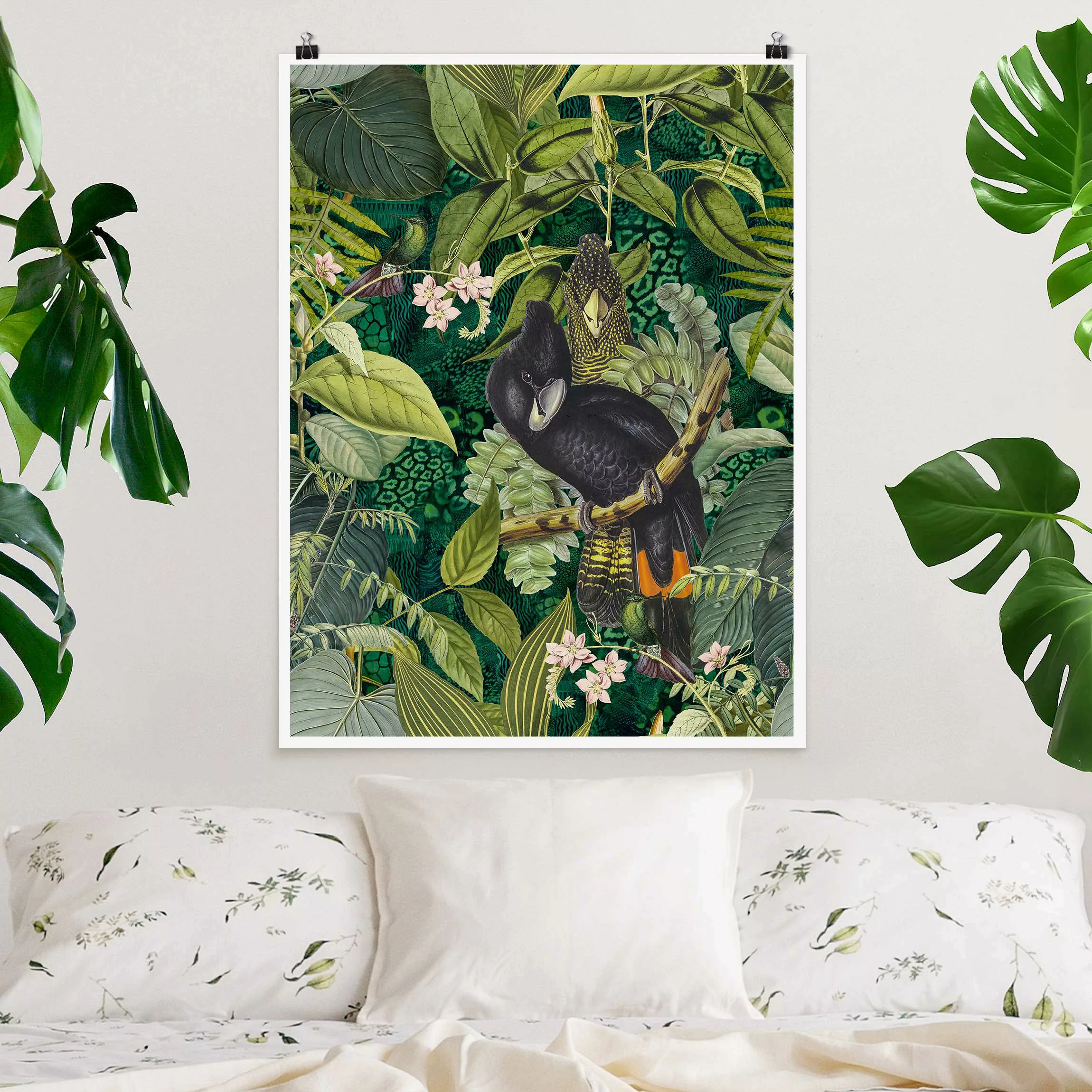 Poster Bunte Collage - Kakadus im Dschungel günstig online kaufen