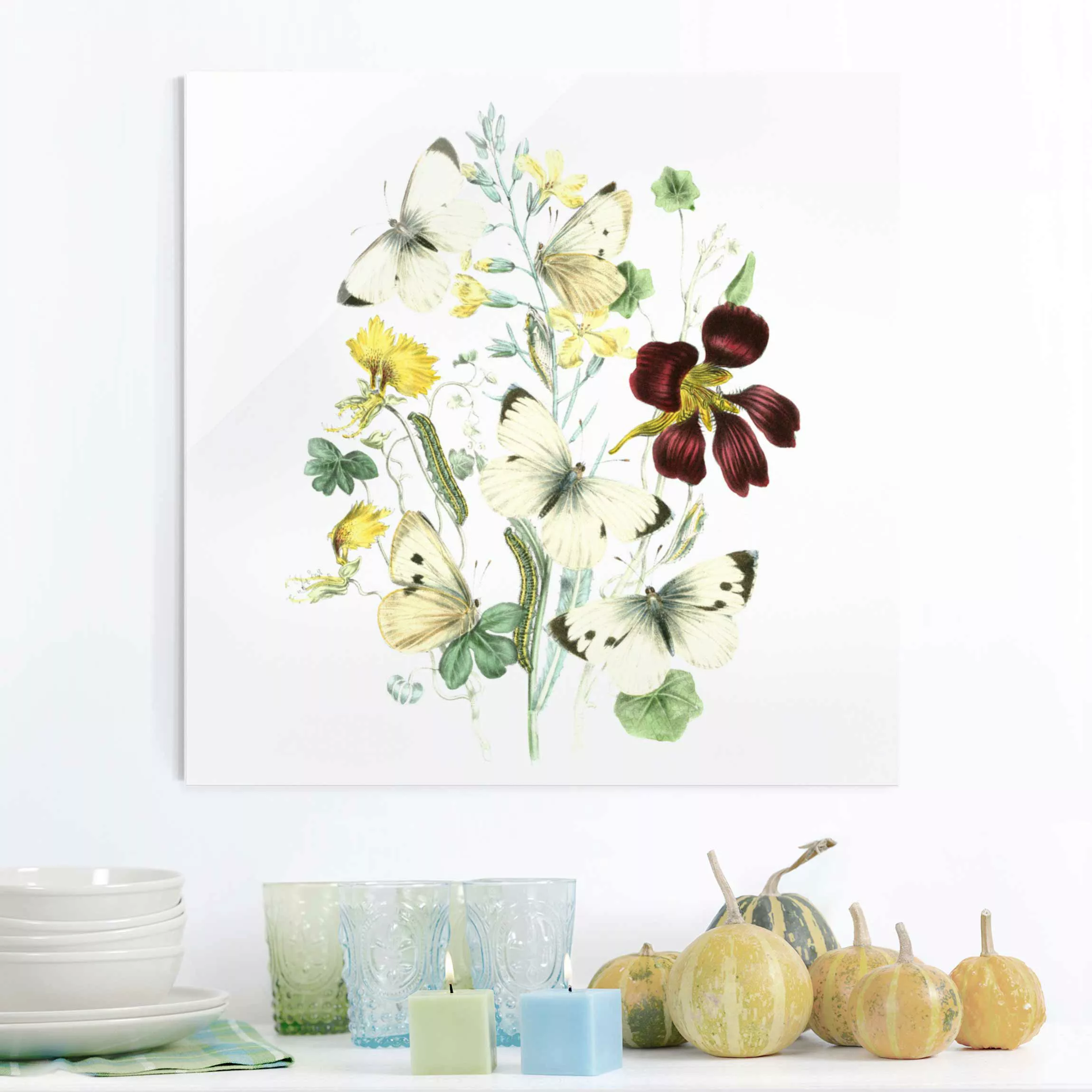 Glasbild Blumen - Quadrat Britische Schmetterlinge II günstig online kaufen