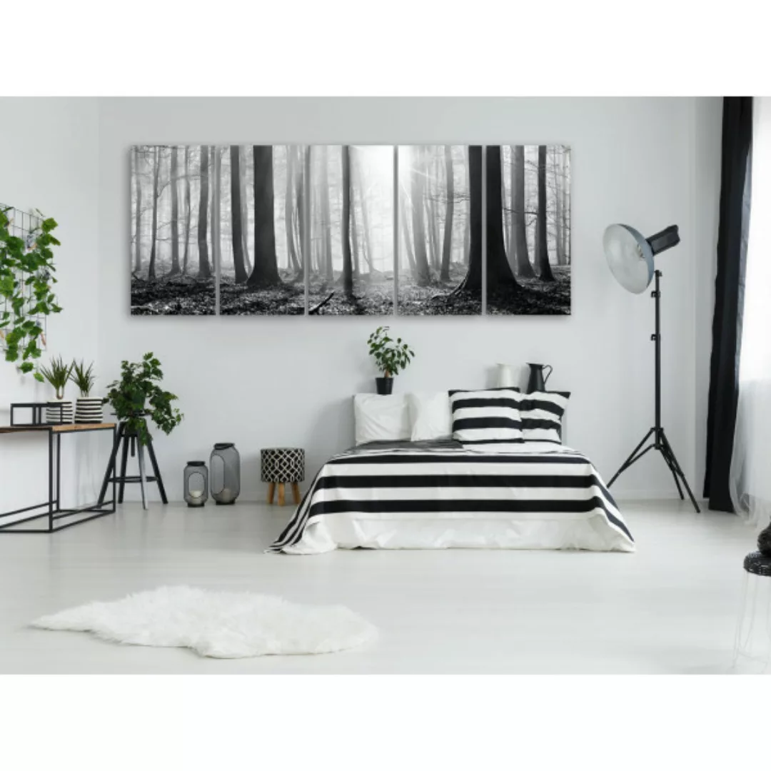 Leinwandbild Monochrome Forest XXL günstig online kaufen