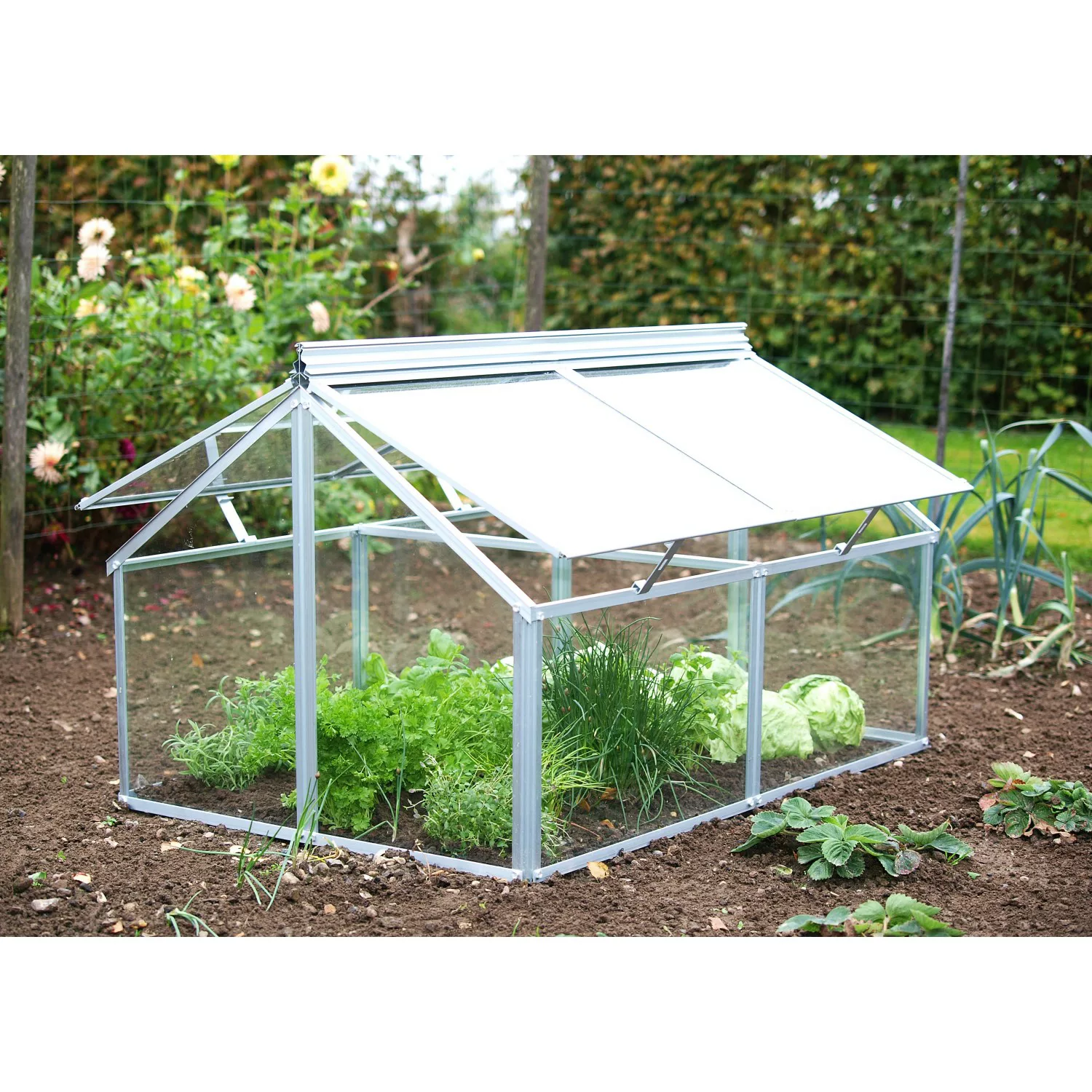 Vitavia Frühbeet Gaia Jumbo ESG 4 mm Alu B 83 cm x T 119 cm x H 72 cm günstig online kaufen