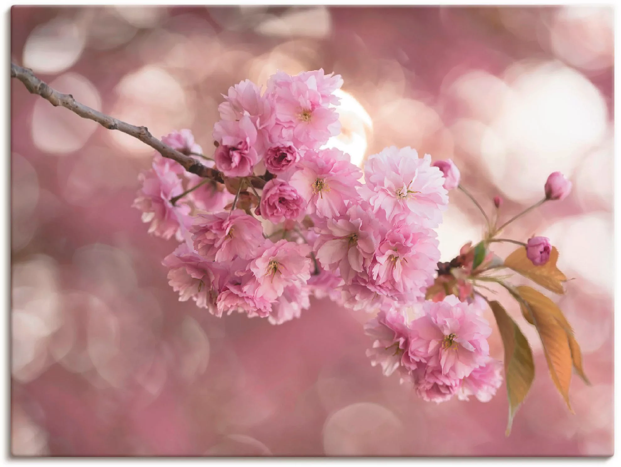 Artland Wandbild "Japanische Kirschblüte in Love III", Blumen, (1 St.), als günstig online kaufen