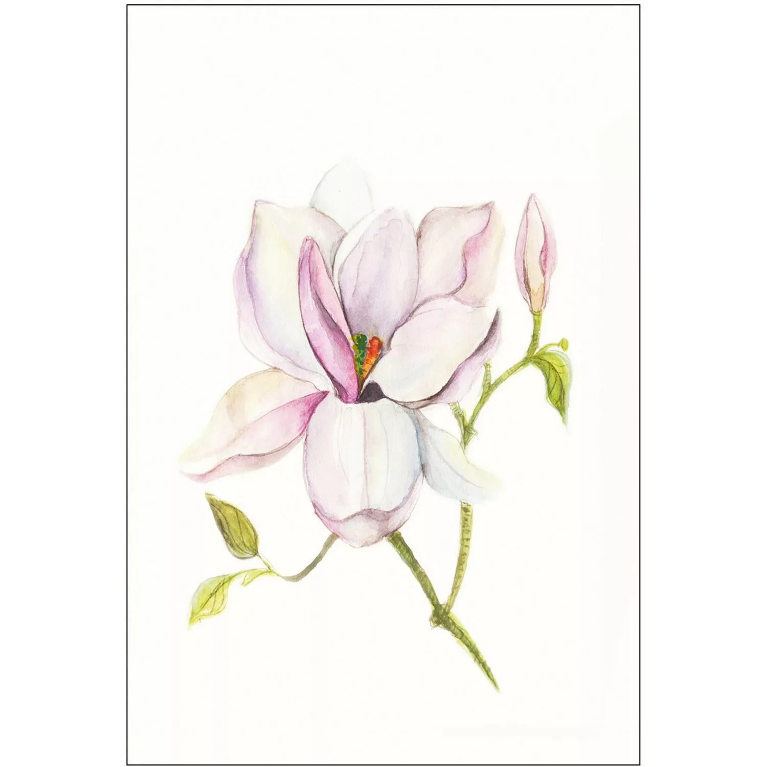 Komar Wandbild Magnolia Shine 30 x 40 cm günstig online kaufen