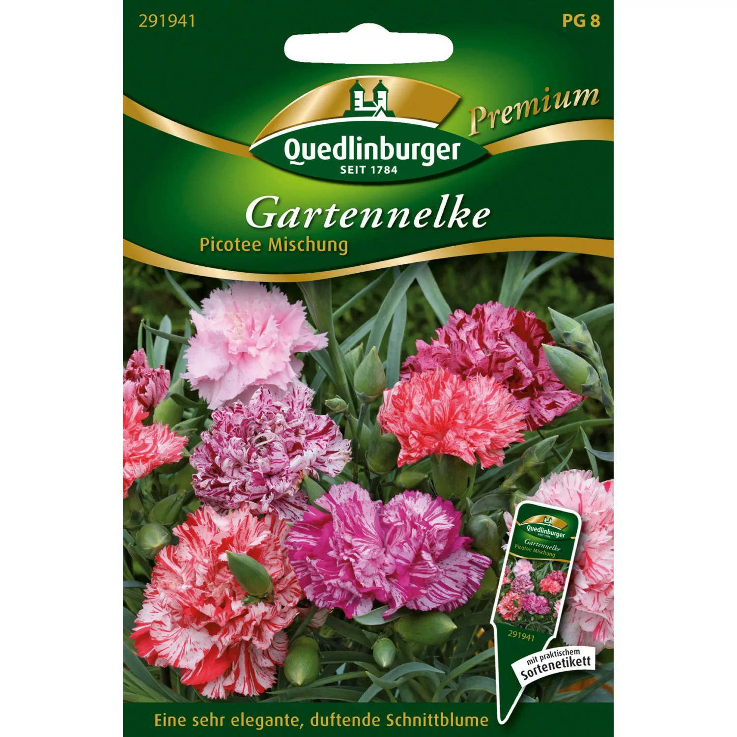 Quedlinburger Gartennelken ''Picotee Mischung'' günstig online kaufen