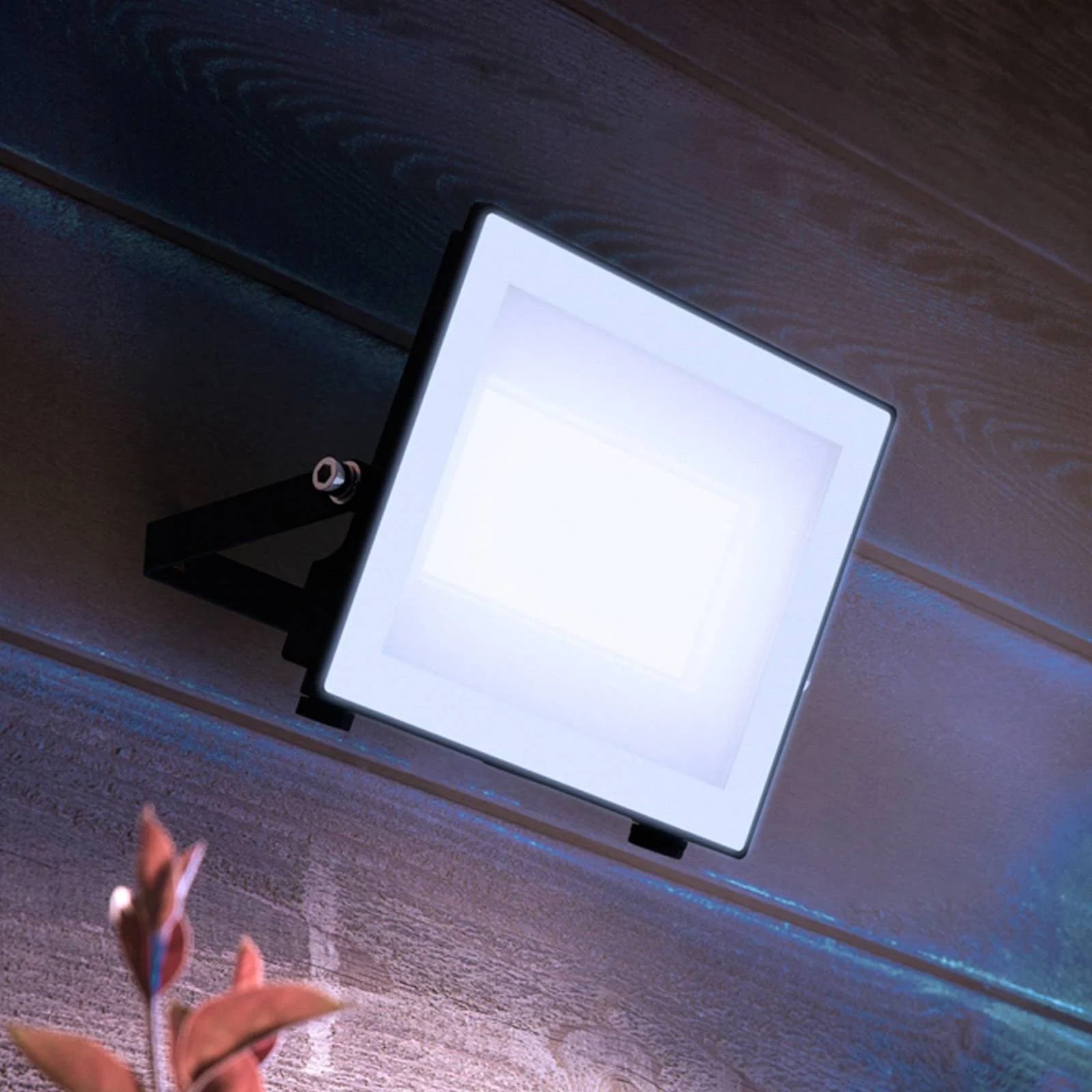 Philips LED-Außenstrahler Lois UE flood, 24 W, 5.000 K, IP65 günstig online kaufen