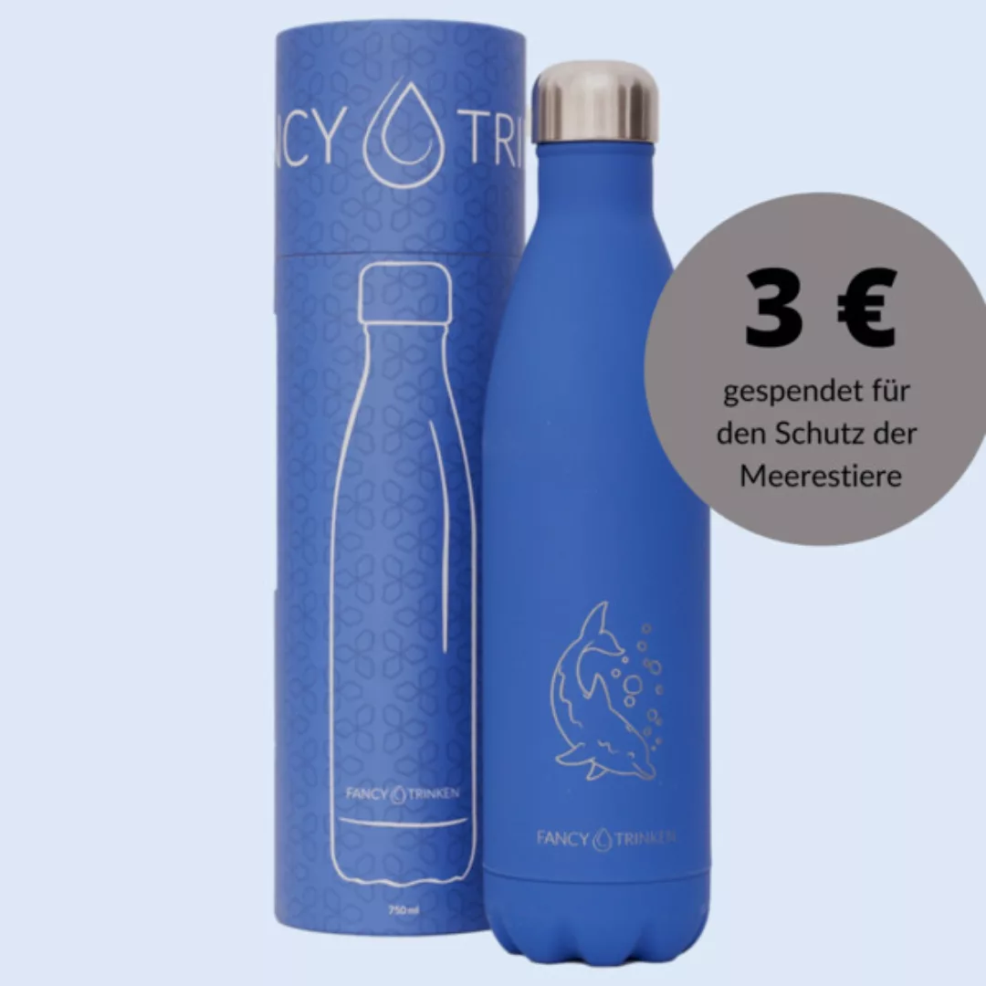 Isolierflasche 750 Ml, Trinkflasche Aus Edelstahl günstig online kaufen