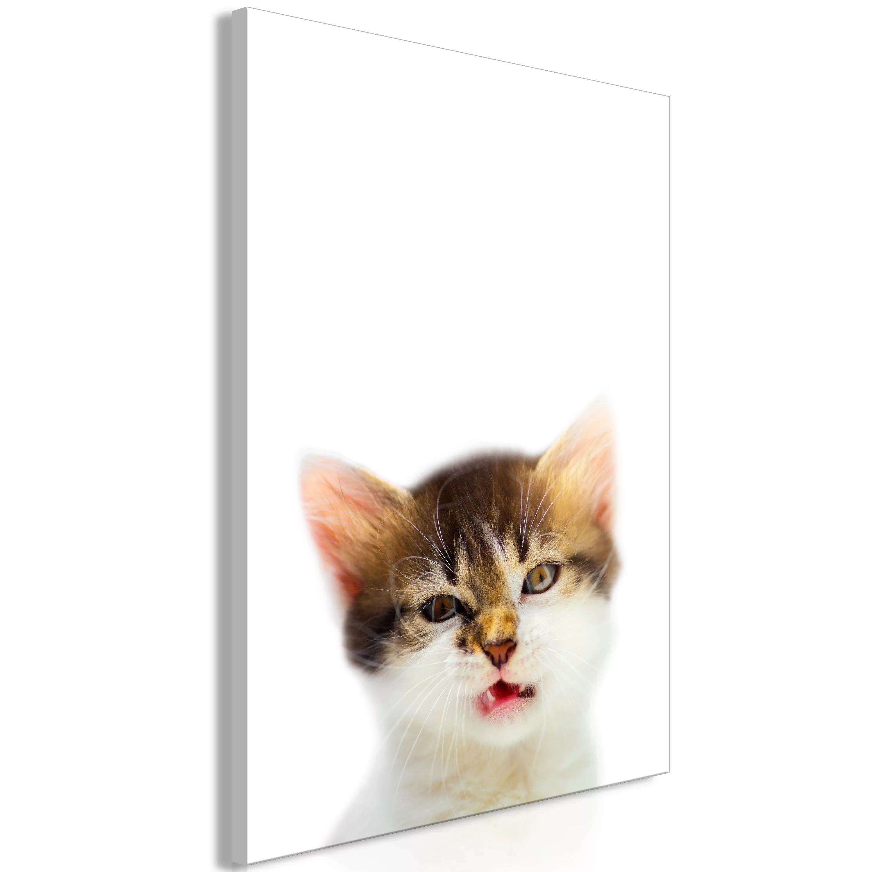 Wandbild - Vexed Cat (1 Part) Vertical günstig online kaufen