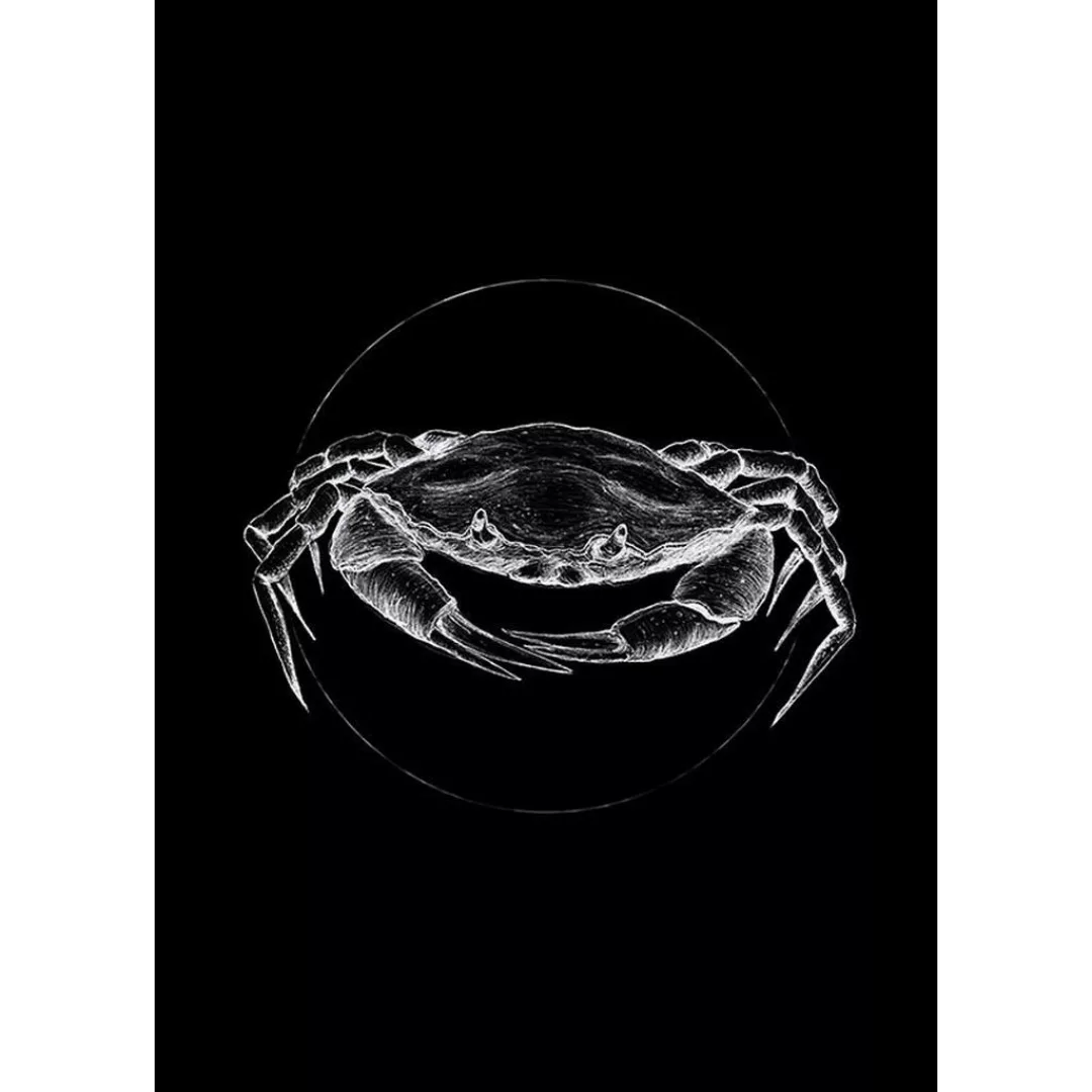 KOMAR Wandbild - Crab Black - Größe: 50 x 70 cm mehrfarbig Gr. one size günstig online kaufen