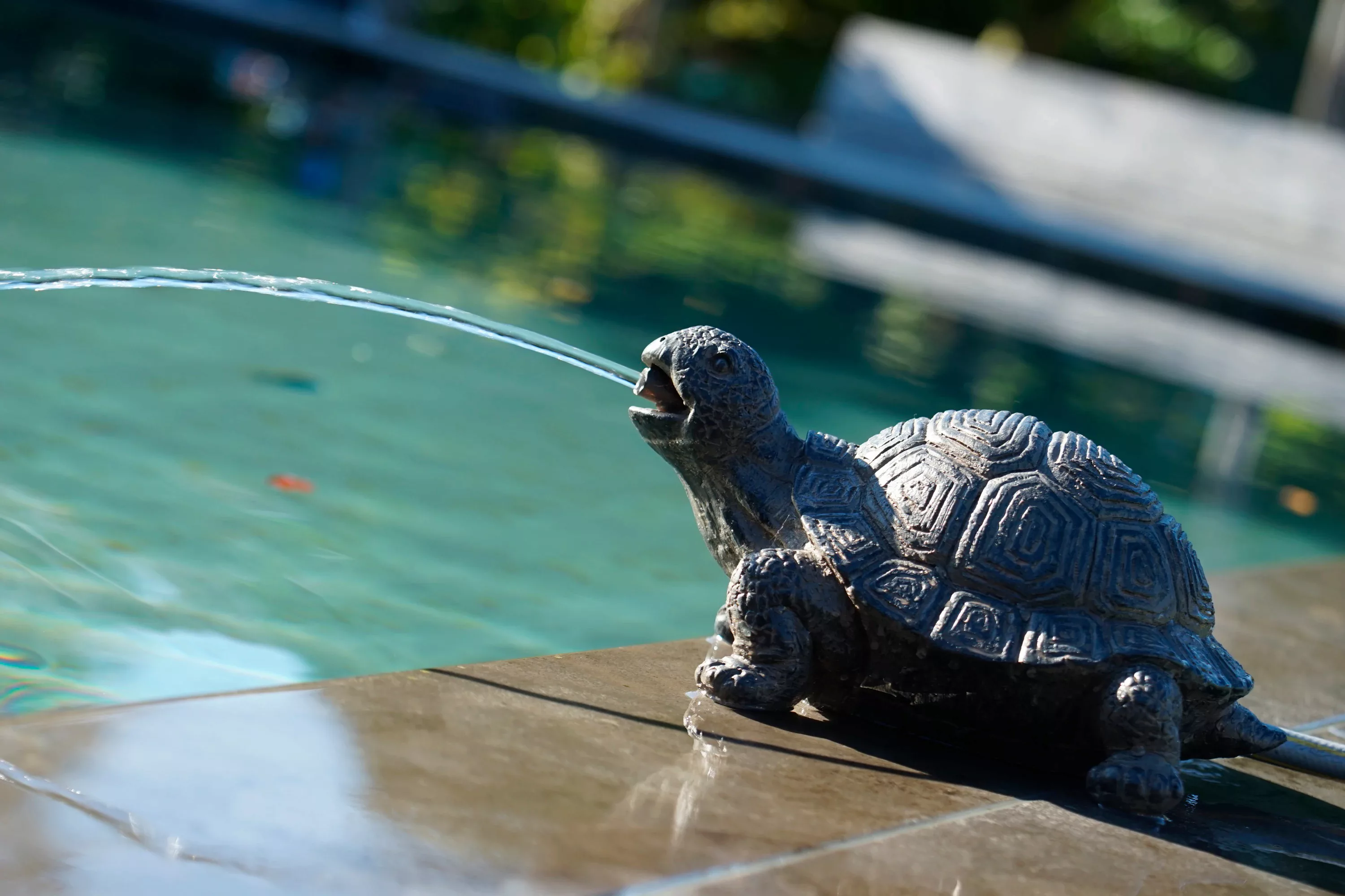 Ubbink Wasserspeier Schildkröte günstig online kaufen
