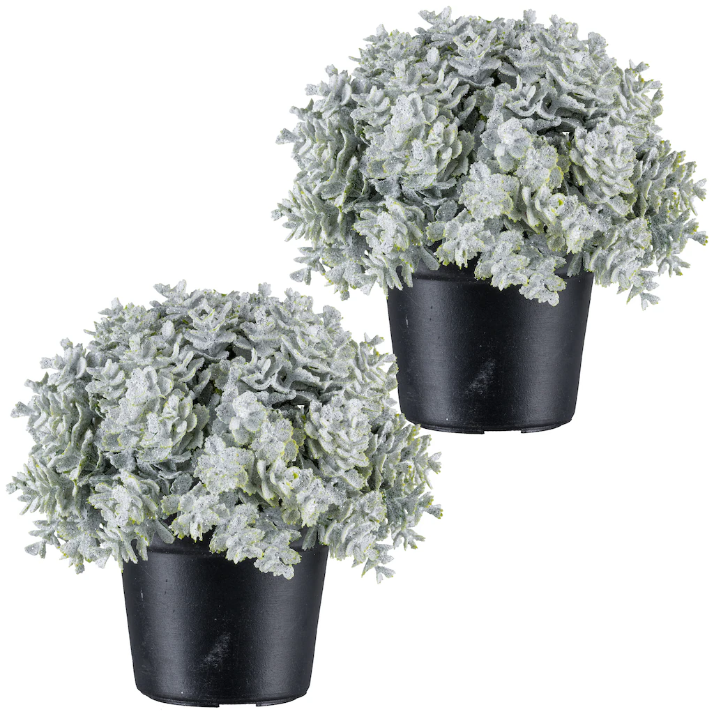 Creativ green Kunstpflanze "Eukalyptus", in Kugelform günstig online kaufen