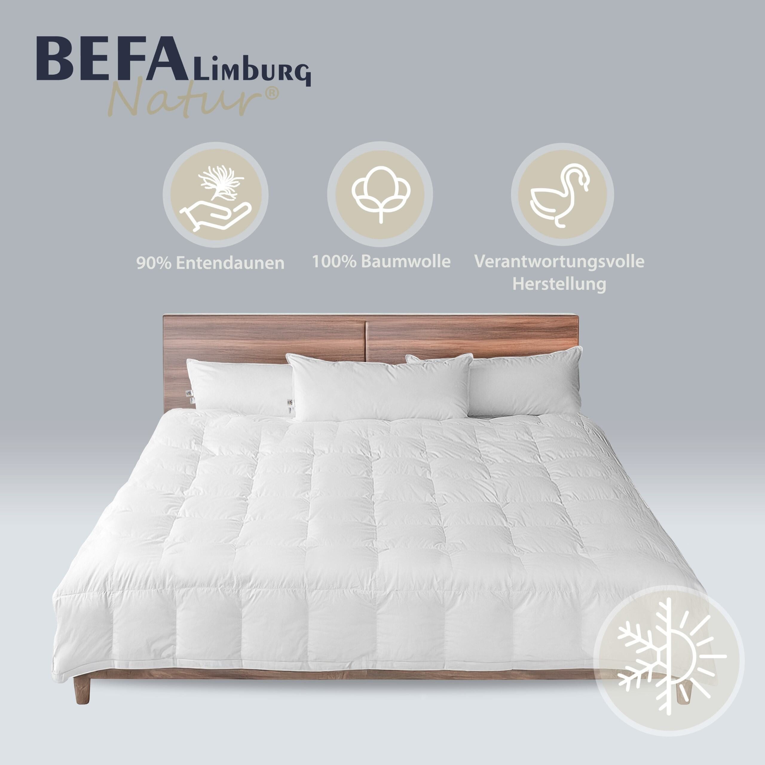 BEFA NATUR Daunenbettdecke 4-Jahreszeitendecke, Premium-Ganzjahresdecke - günstig online kaufen