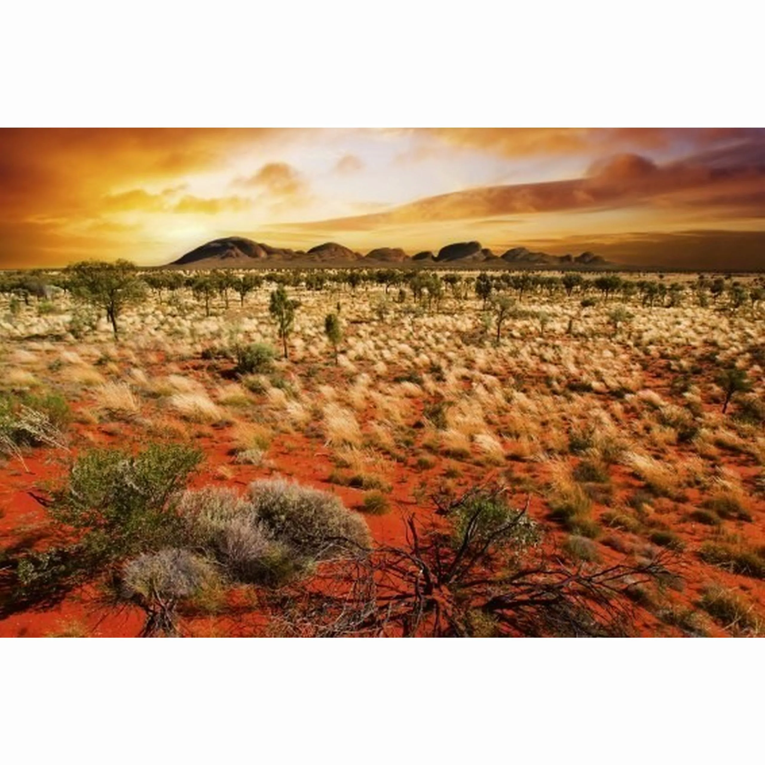 Fototapete AUSTRALIAN LANDSCAPE  | MS-5-0050 | Orange | Digitaldruck auf Vl günstig online kaufen