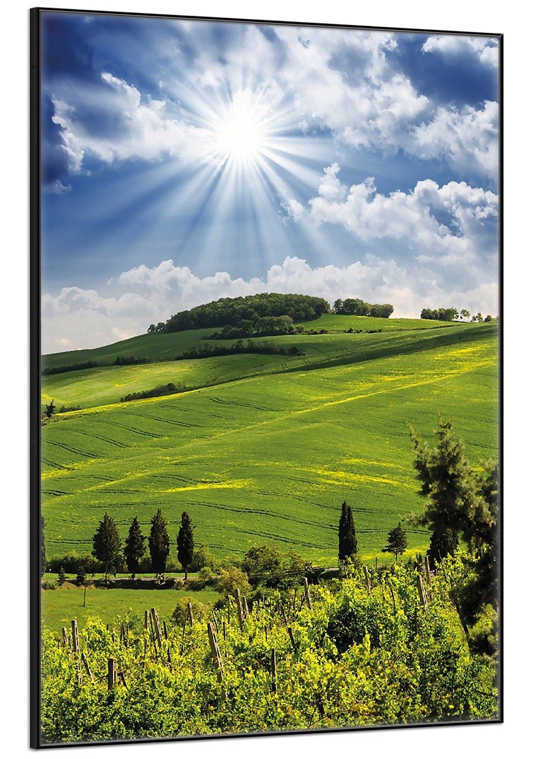 Wallario Poster, Strahlender Sonnenschein, in verschiedenen günstig online kaufen