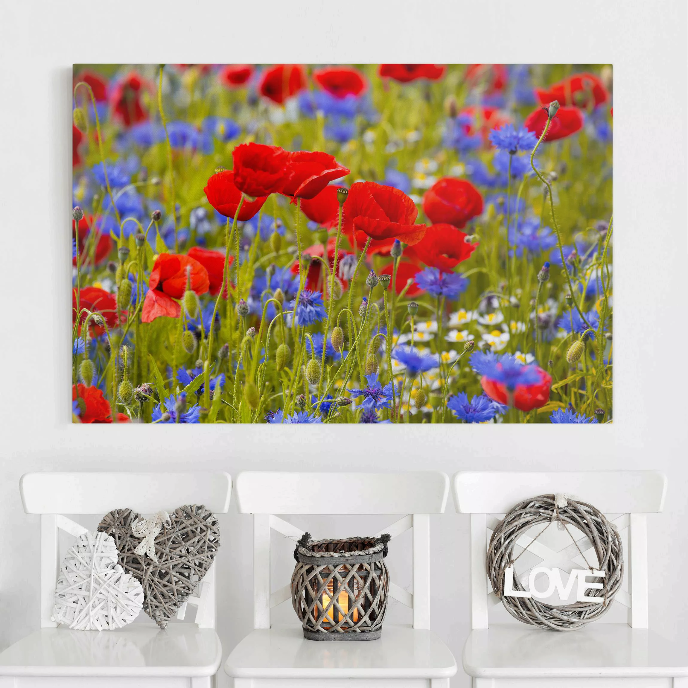 Leinwandbild Sommerwiese mit Mohn und Kornblumen günstig online kaufen