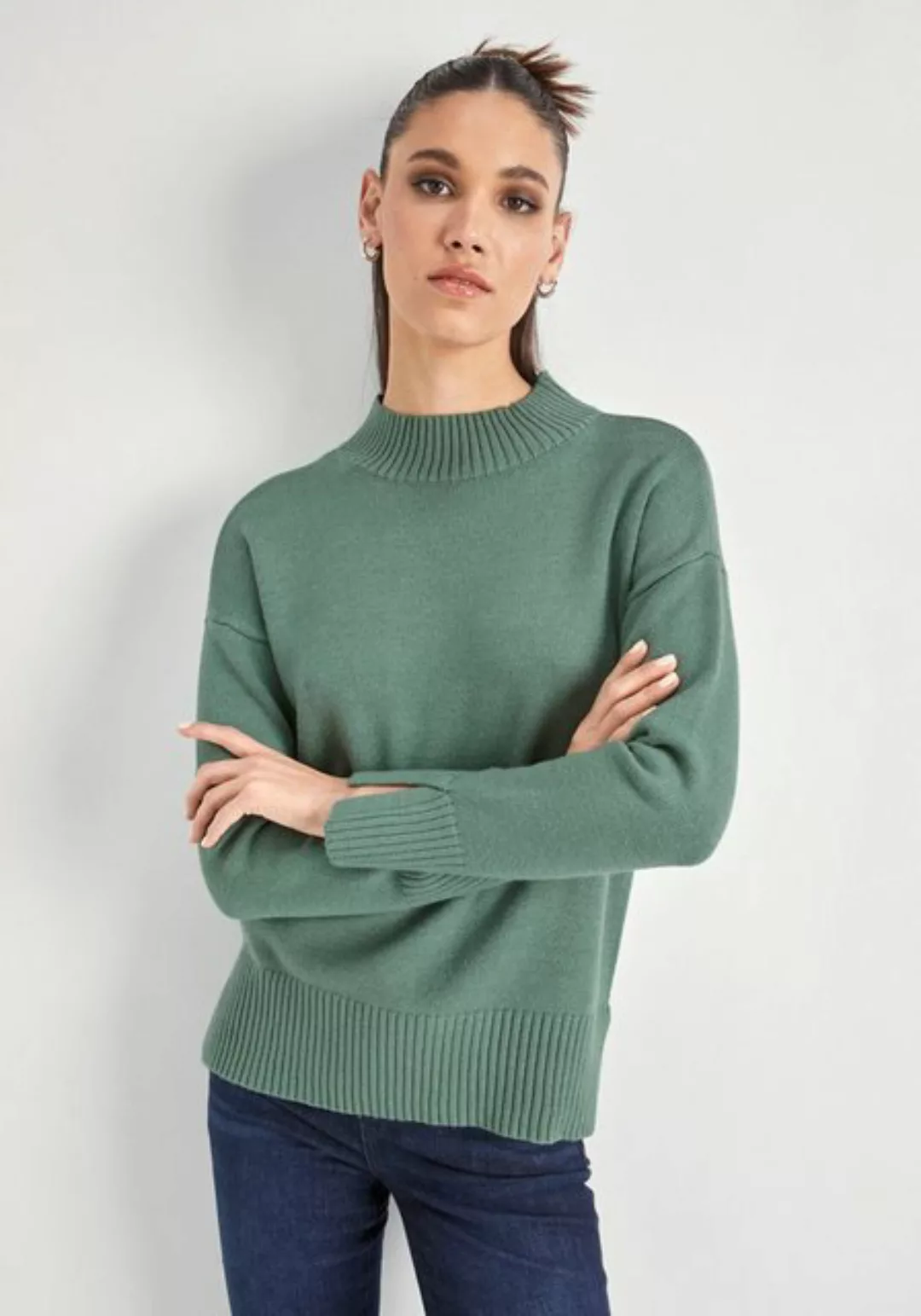 HECHTER PARIS Strickpullover mit Stehkragen günstig online kaufen