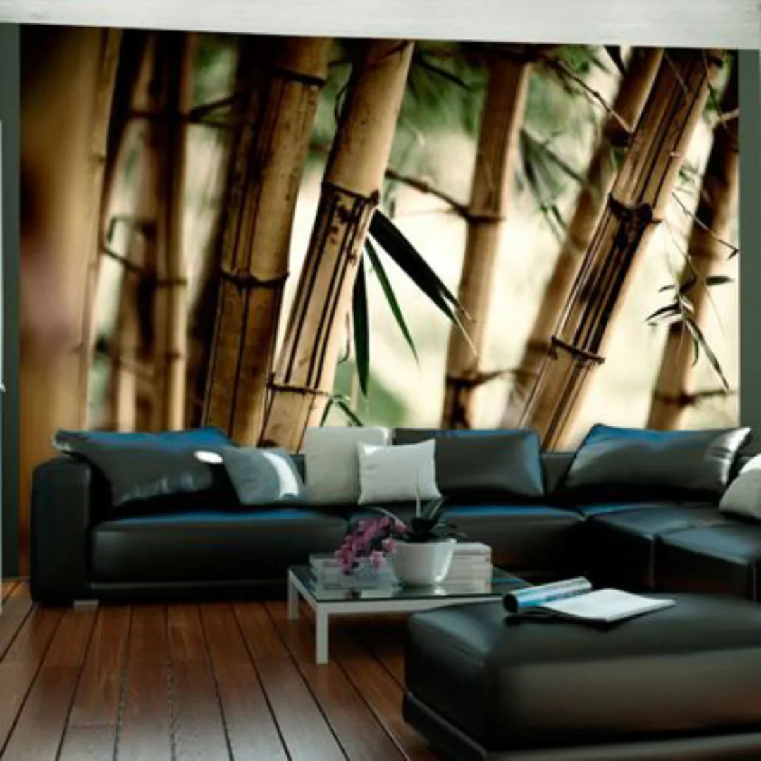 artgeist Fototapete Fog and bamboo forest mehrfarbig Gr. 350 x 270 günstig online kaufen