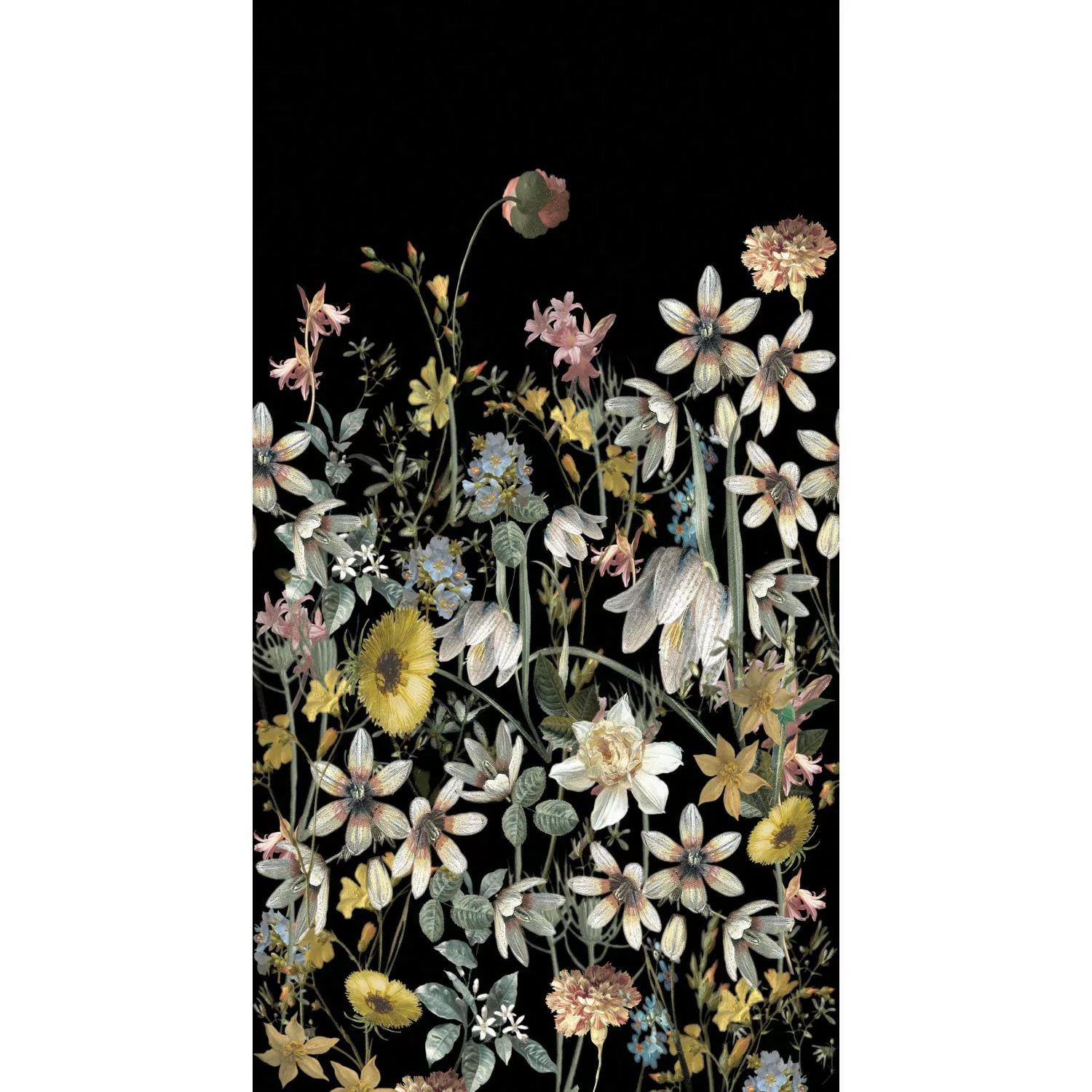 ESTAhome Fototapete Feldblumen Multicolor Auf Schwarz 150 x 279 cm 159216 günstig online kaufen