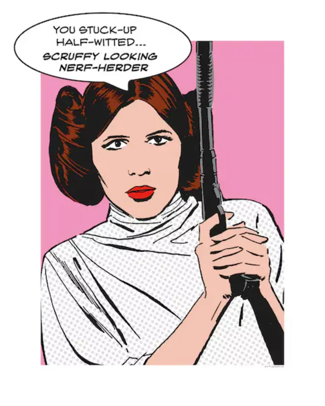 Komar Wandbild Star Wars Leia 40 x 50 cm günstig online kaufen