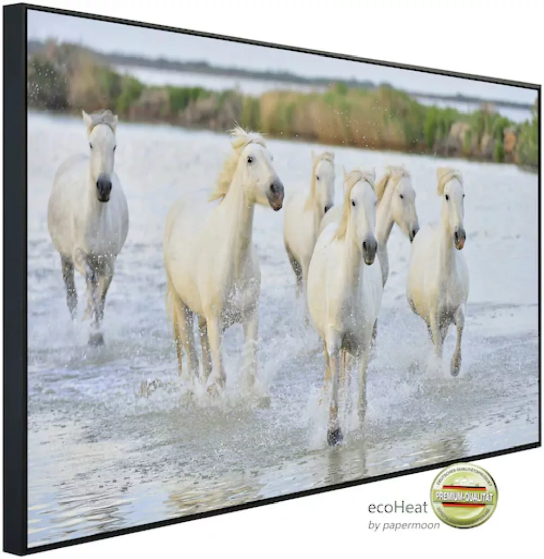 Papermoon Infrarotheizung »Pferde im Wasser« günstig online kaufen