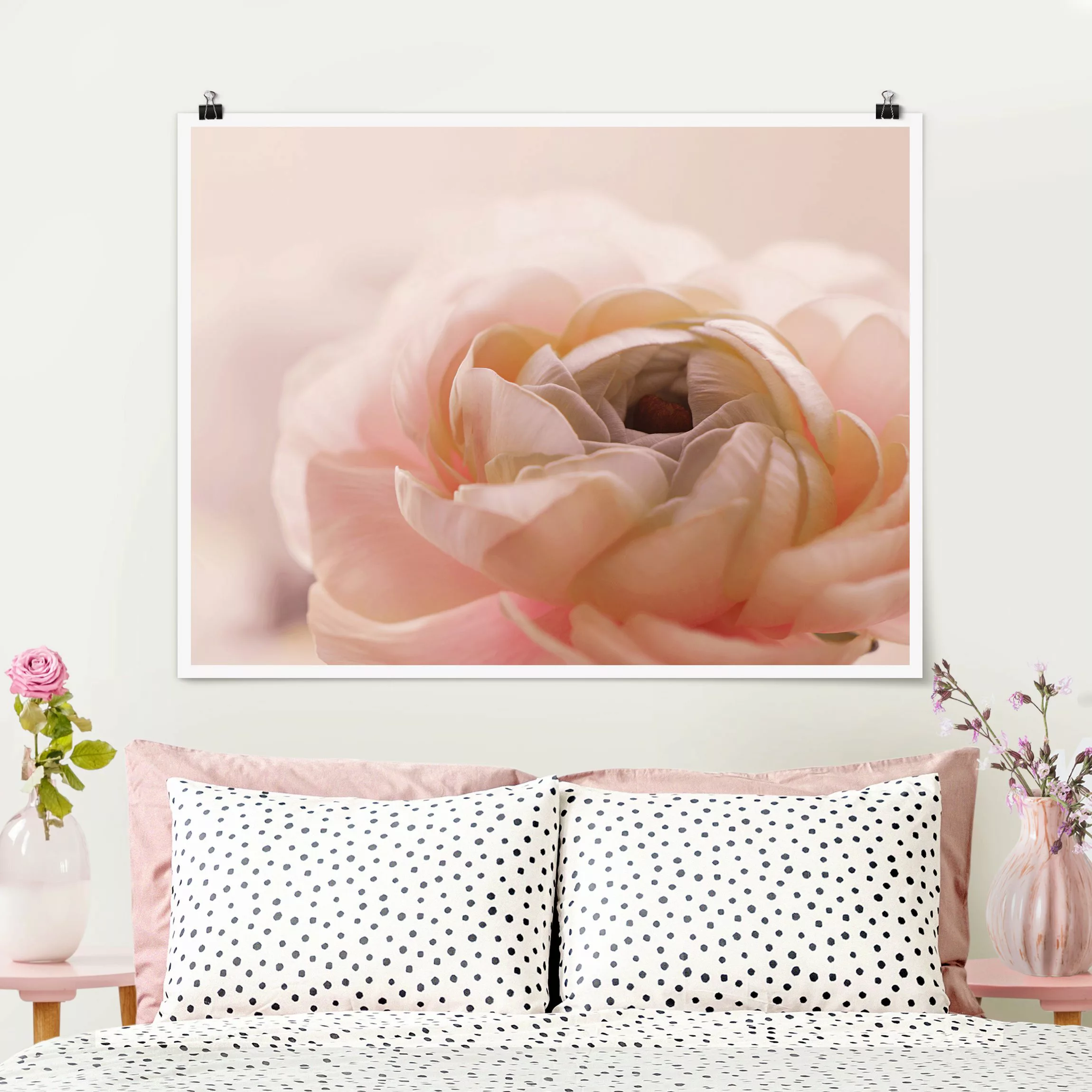 Poster Rosa Blüte im Fokus günstig online kaufen