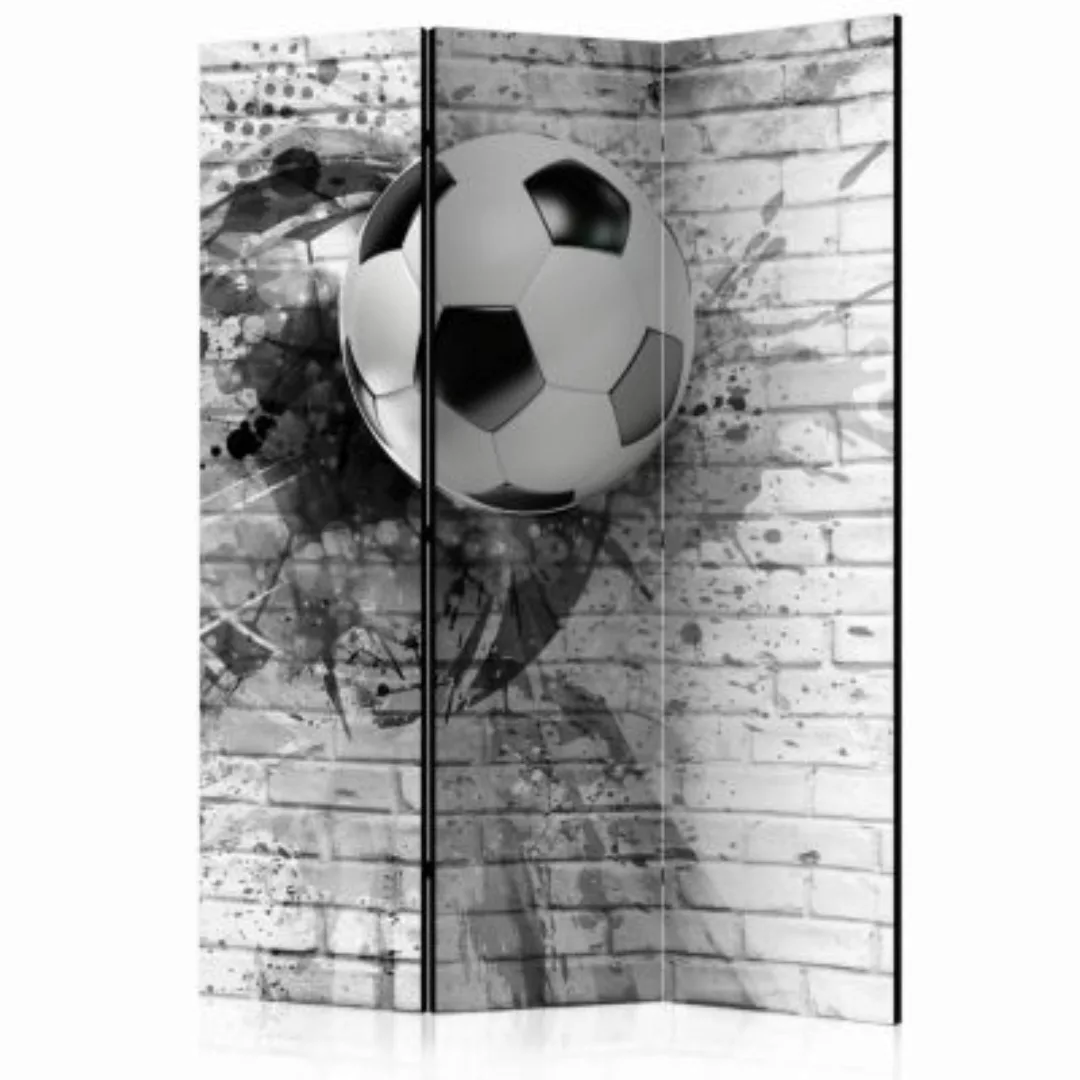 artgeist Paravent Dynamic Football [Room Dividers] schwarz/weiß Gr. 135 x 1 günstig online kaufen