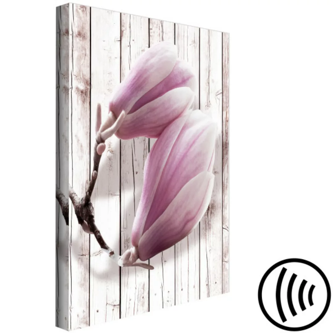 Wandbild Provencal Magnolia (1 Part) Vertical XXL günstig online kaufen
