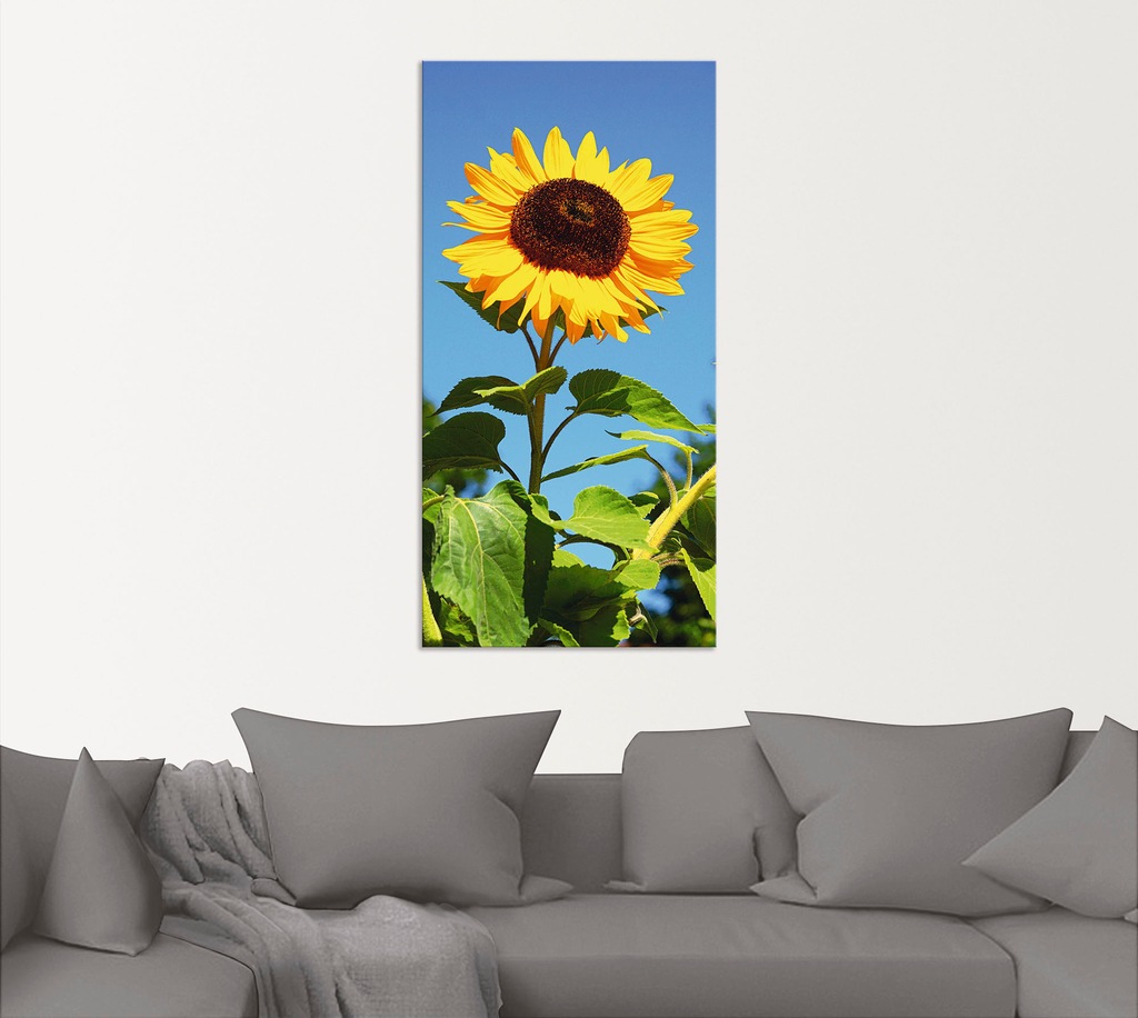 Artland Wandbild »Sonnenblume«, Blumen, (1 St.), als Alubild, Outdoorbild, günstig online kaufen