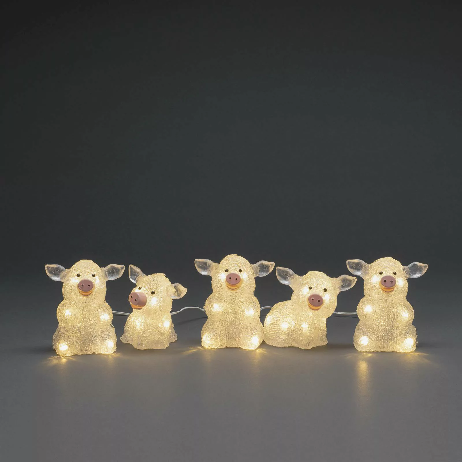 LED-Leuchtfigur Schwein, 5er-Set als Kette, klar günstig online kaufen