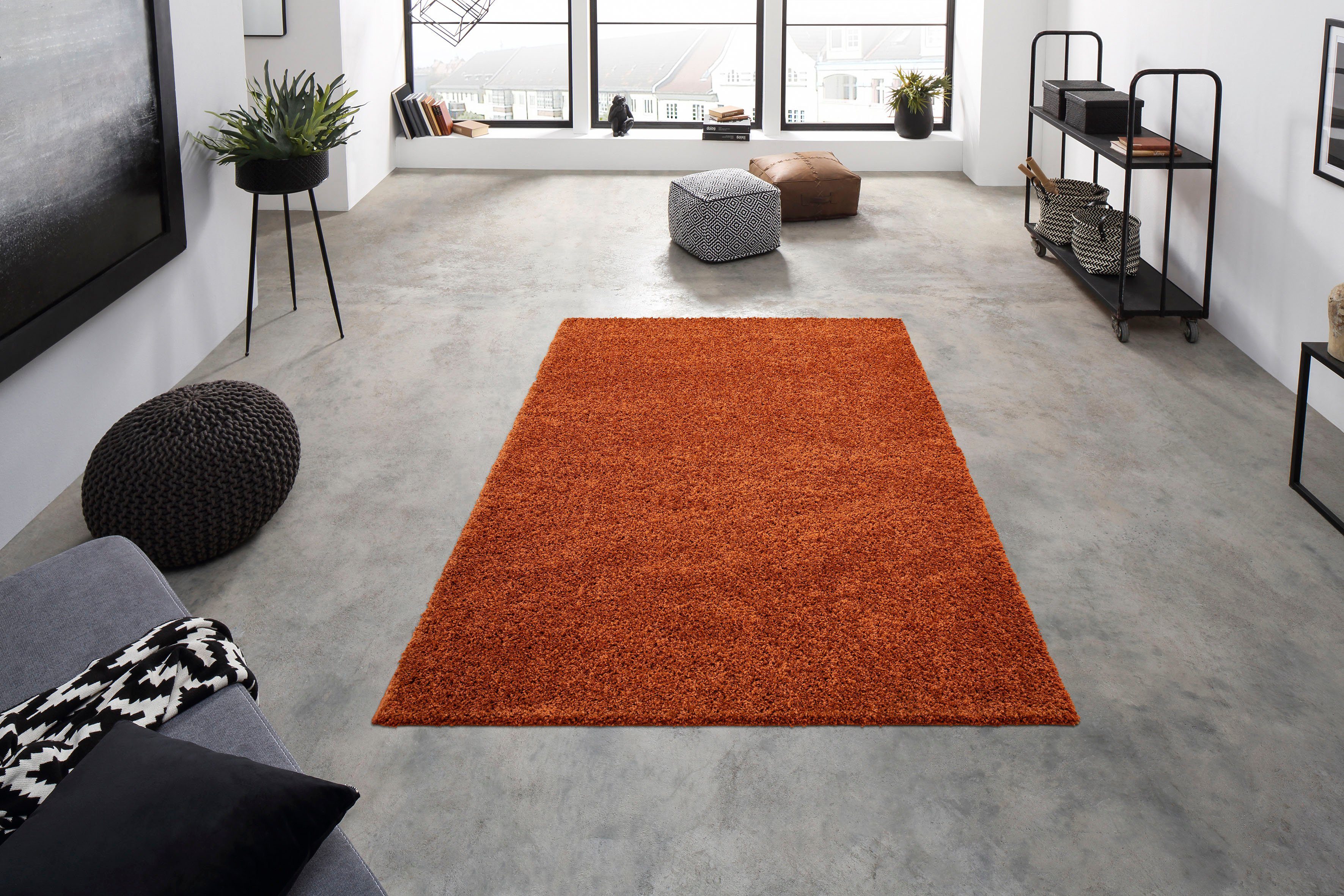 my home Hochflor-Teppich Shaggy 30, rechteckig, günstig online kaufen