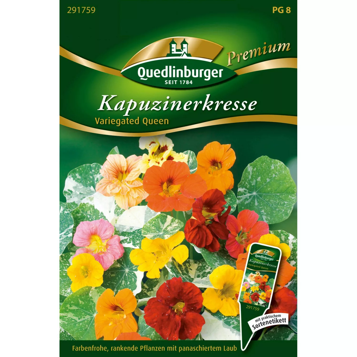 Quedlinburger Kapuzinerkresse ''Variegated Queen'' günstig online kaufen