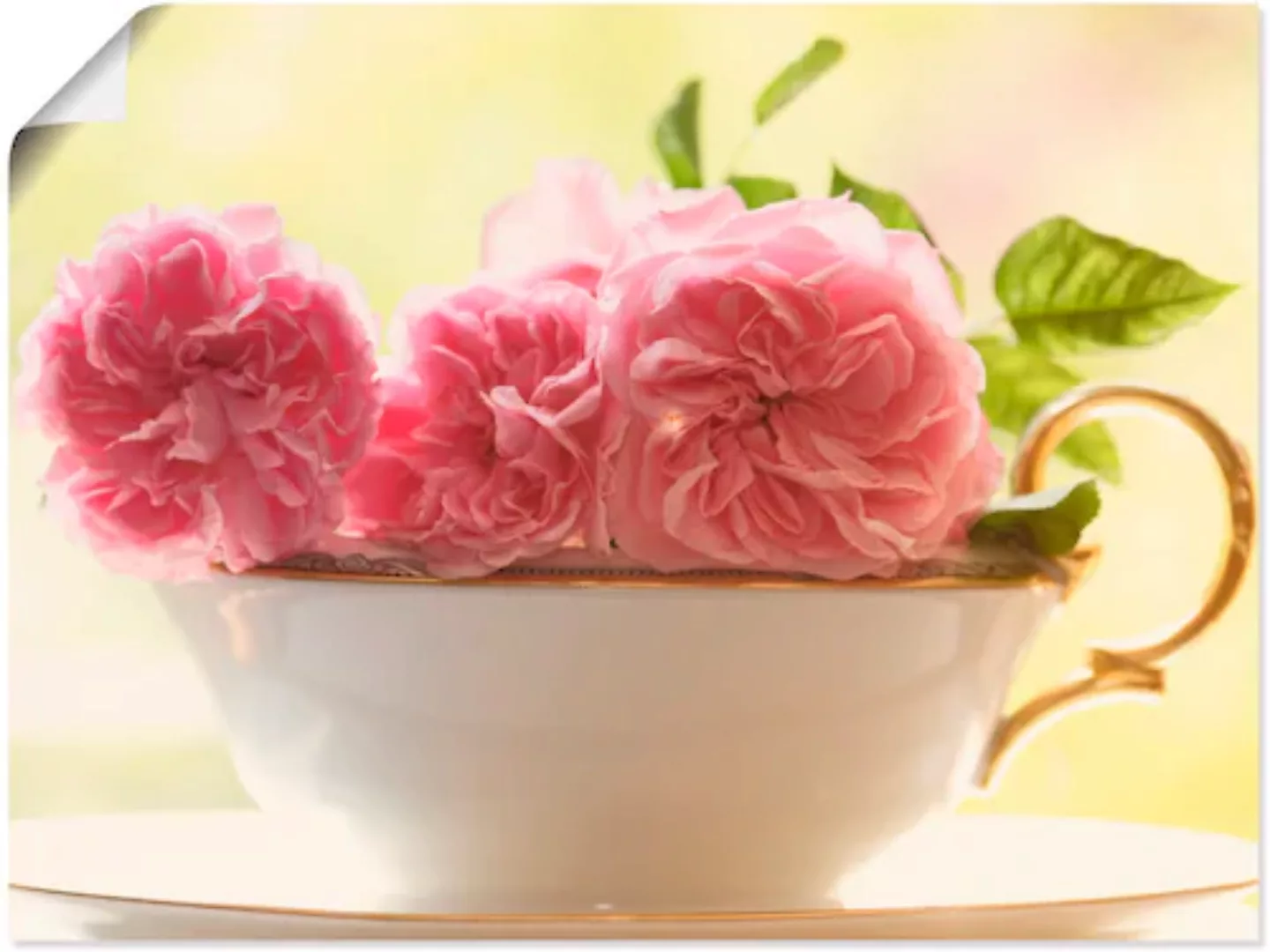 Artland Wandbild »Vintage Rosen«, Blumen, (1 St.) günstig online kaufen
