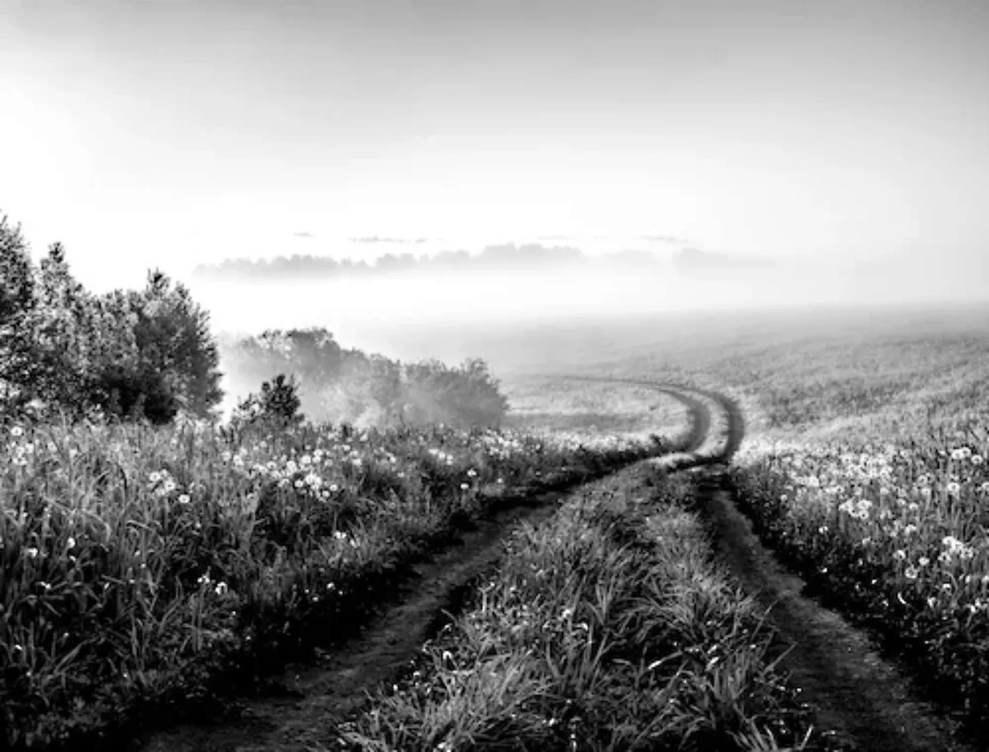 Papermoon Fototapete »Feldweg Schwarz & Weiß« günstig online kaufen