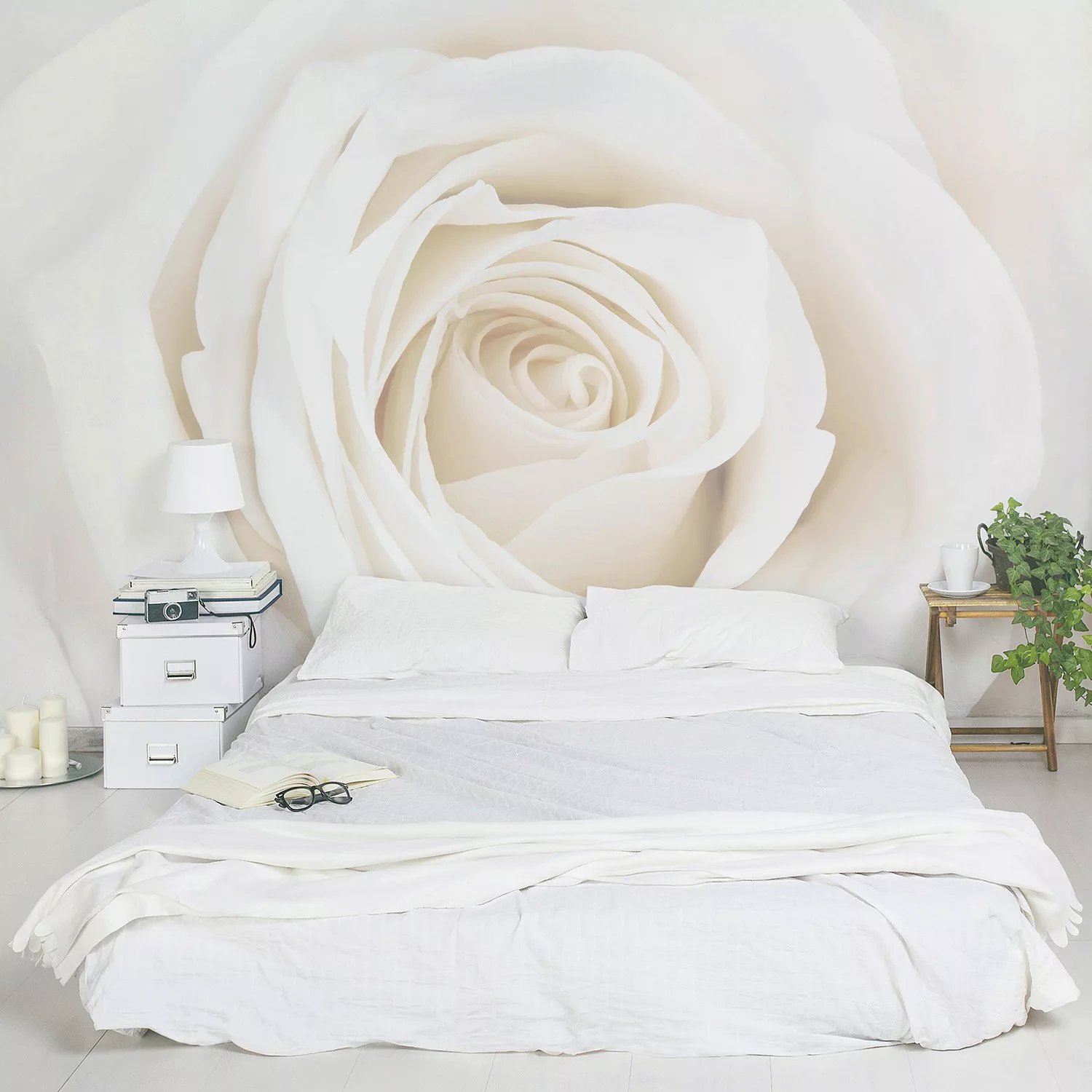 Bilderwelten Blumentapete Pretty White Rose creme Gr. 288 x 190 günstig online kaufen