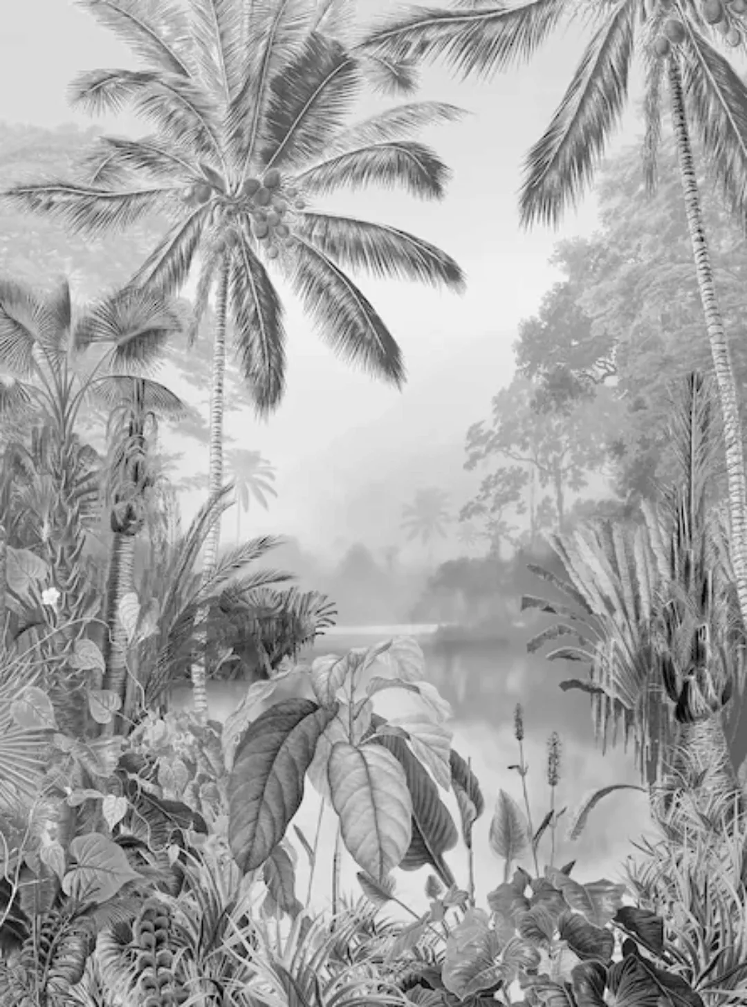 KOMAR Vlies Fototapete - Lac Tropical Black & White - Größe 200 x 270 cm me günstig online kaufen