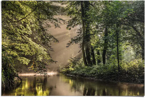 Reinders! Poster »Lichtspiel am Waldsee«, (1 St.) günstig online kaufen