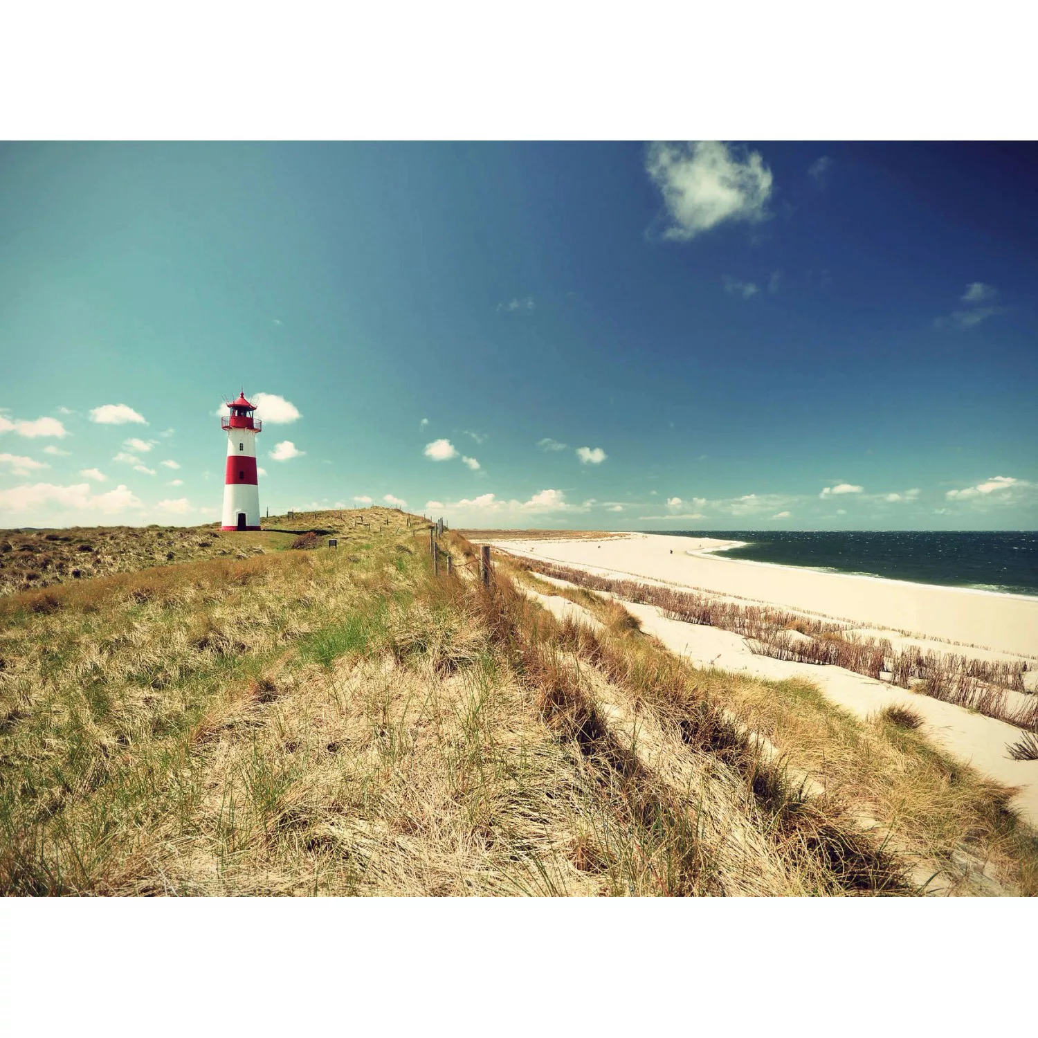 Fototapete Leuchtturm Strand Rot Weiß Grün 3,50 m x 2,55 m FSC® günstig online kaufen