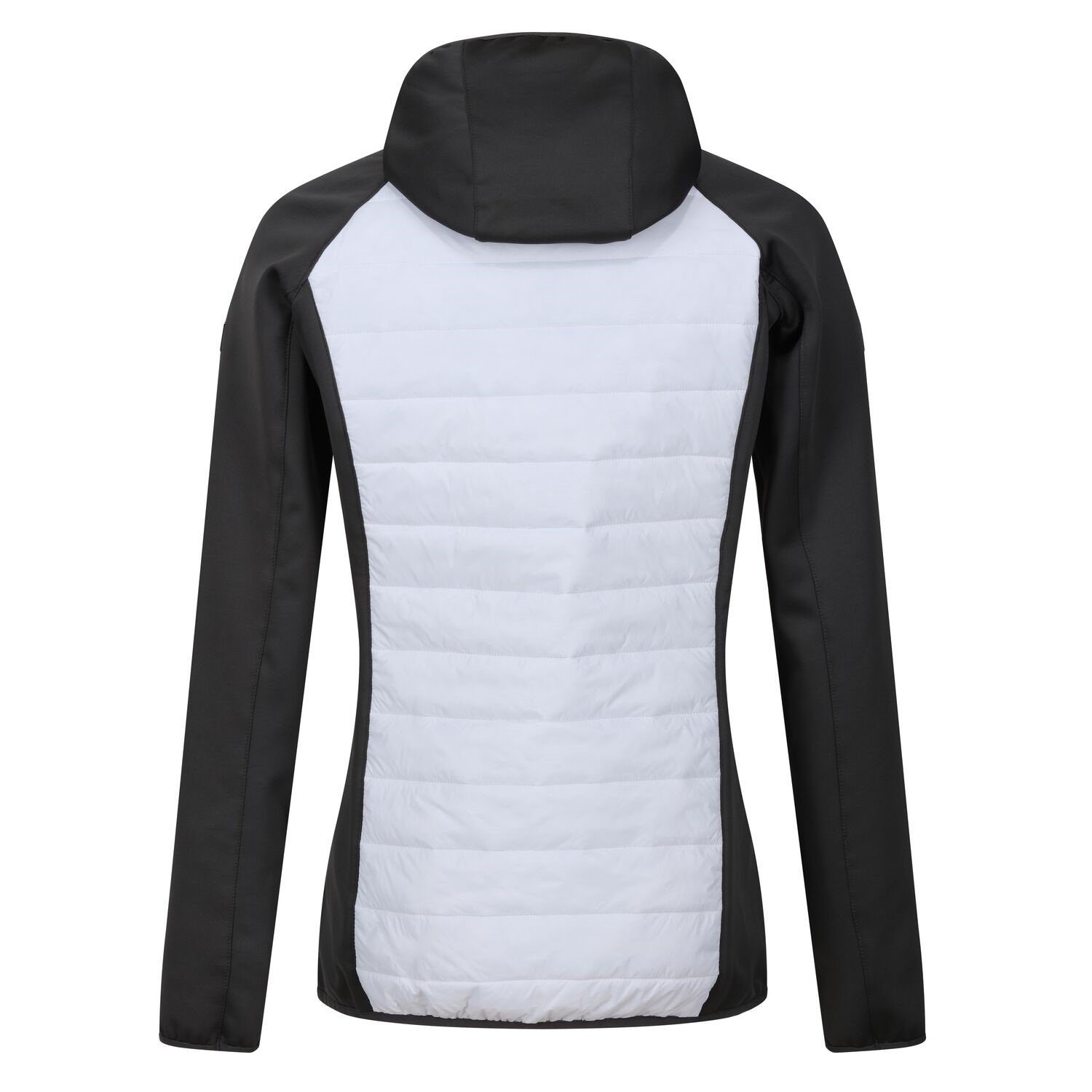 Regatta Steppjacke Softshelljacke Andreson VIII Hybrid günstig online kaufen