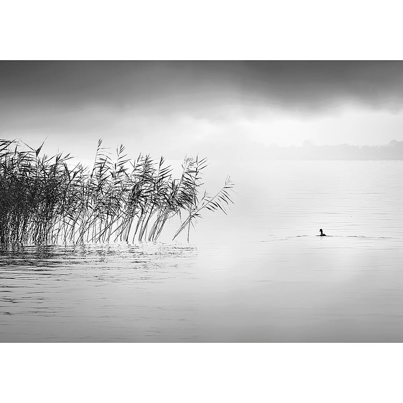 Leinwandbild By the Lake II, 50 x 35 cm günstig online kaufen