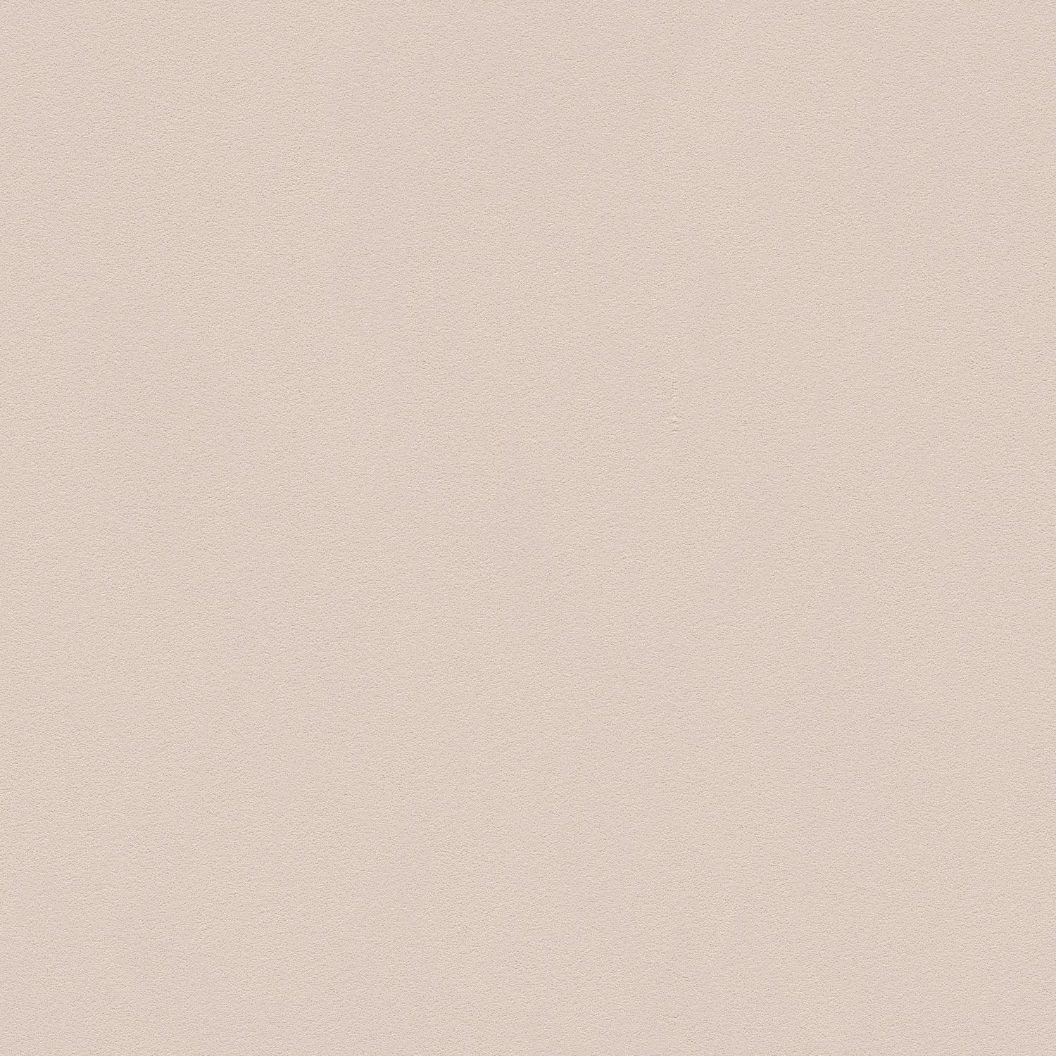PROFHOME 309150-GU Ton-in-Ton Tapete Uni Matt Beige 0,53 m x 10,05 m 5,33 m günstig online kaufen