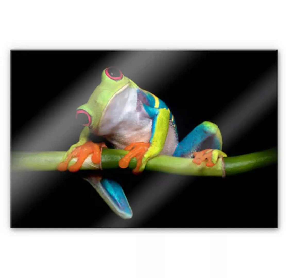 Wall-Art Küchenrückwand »Spritzschutz Frisch Green Frog«, (1 tlg.), Herd Wa günstig online kaufen