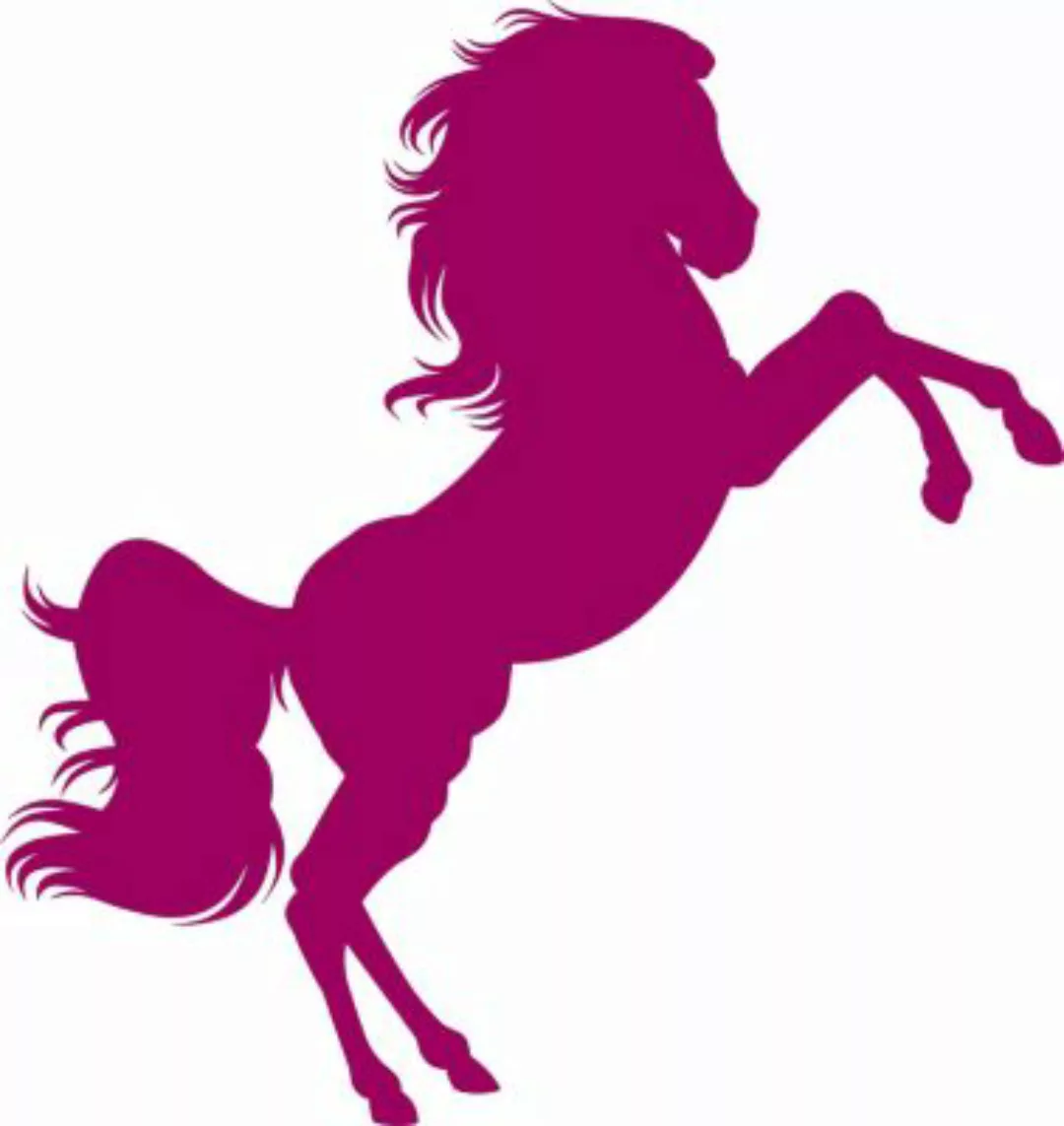 EmmiJules Wandtattoo Pferd - strahlende Mädchenaugen violett Gr. 60 x 60  K günstig online kaufen