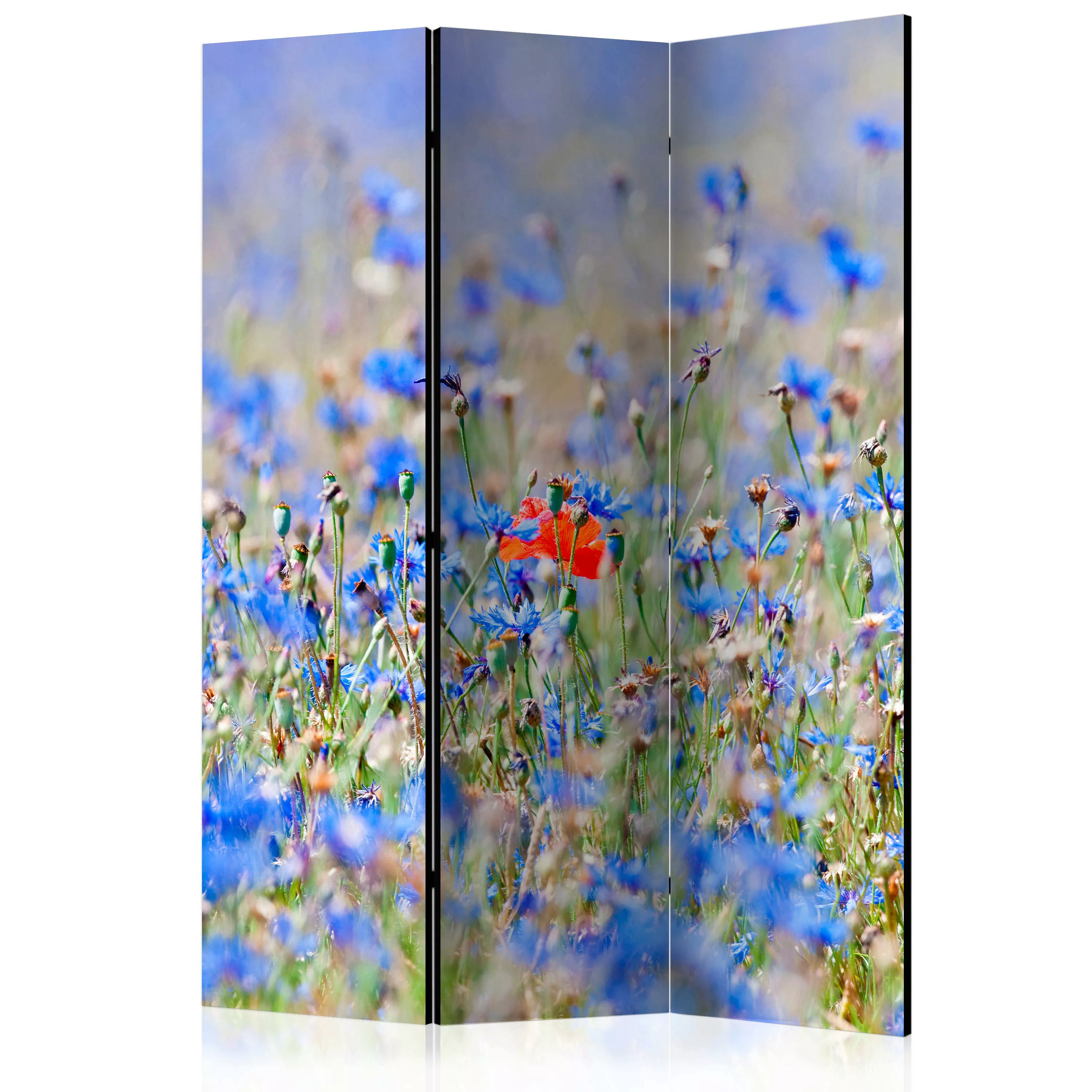3-teiliges Paravent - A Sky-colored Meadow - Cornflowers [room Dividers] günstig online kaufen