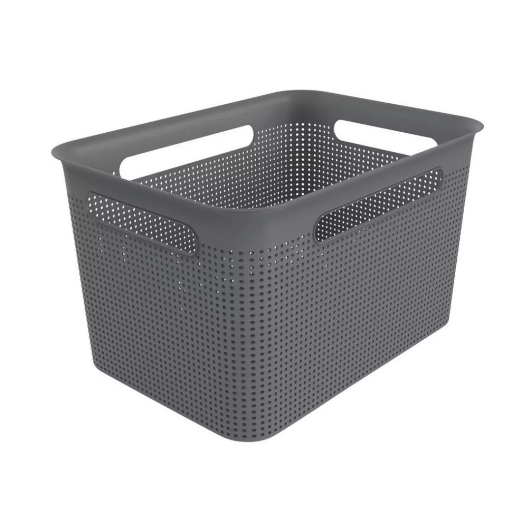 Rotho Aufbewahrungsbox - grau - Kunststoff - 36 cm - 21 cm - 26 cm - Sconto günstig online kaufen